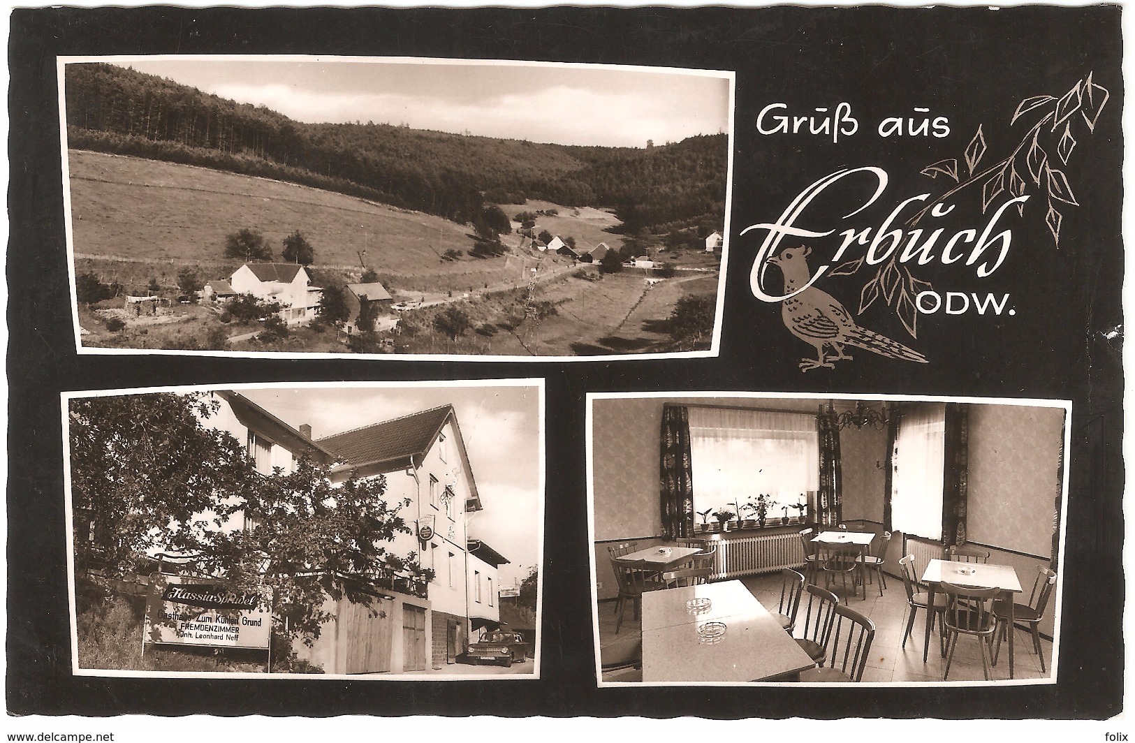 Erbach - Gruss Aus Erbuch - Mehrbildkarte - Gasthaus U. Pension Zum Kühlen Grund - Erbach