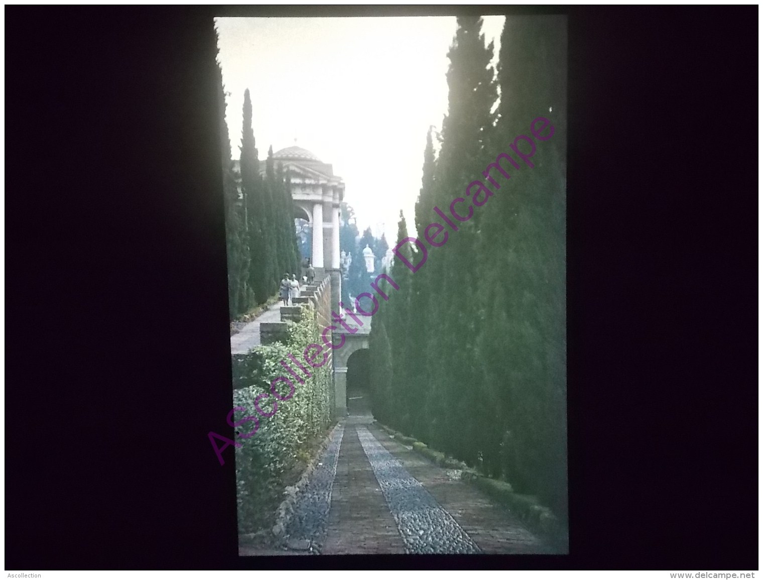 Diapositive Slide Diapo 1968 Italie Italy Genes Cimetiere De Staglieno - Diapositive