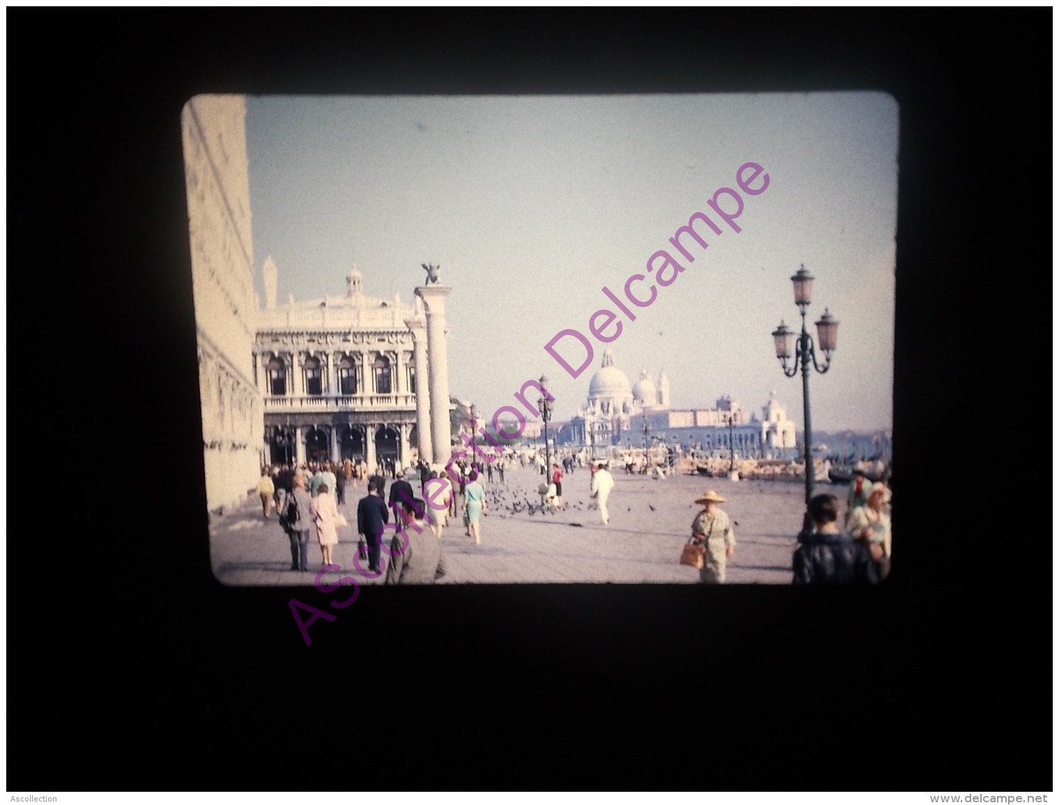 Diapositive Slide Diapo 1968 Italie Italy Venise Vue Sur La Piazzetta - Diapositive