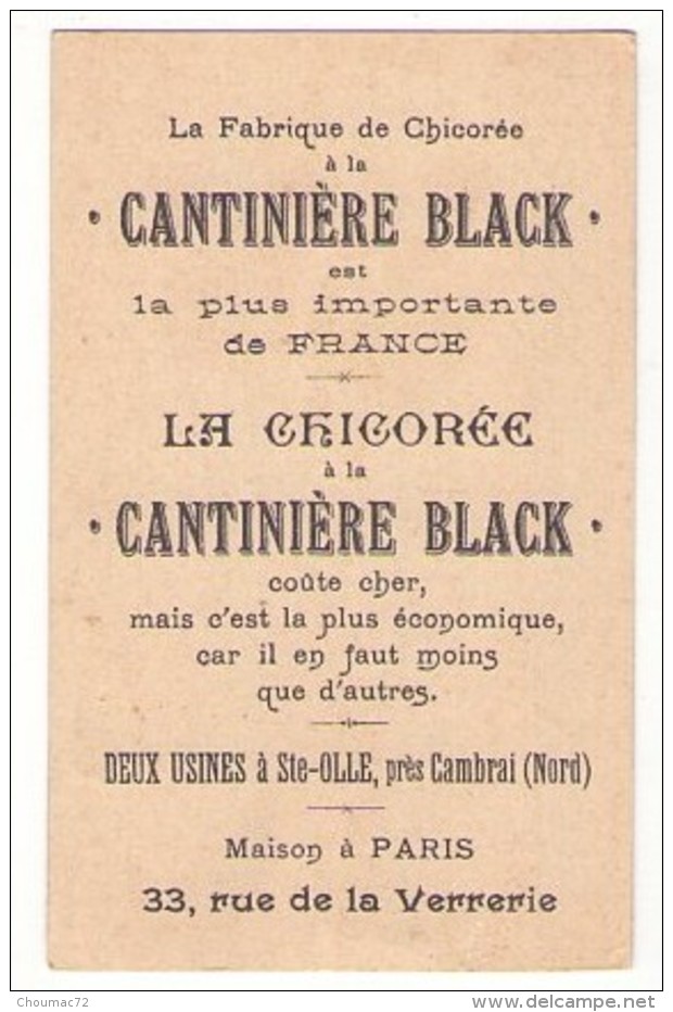 (Chromos) Chicorée Cantiniére Black à Sainte Olle, Etude De Peinture En 25 Sujets, Sujet 20, TB - Tee & Kaffee