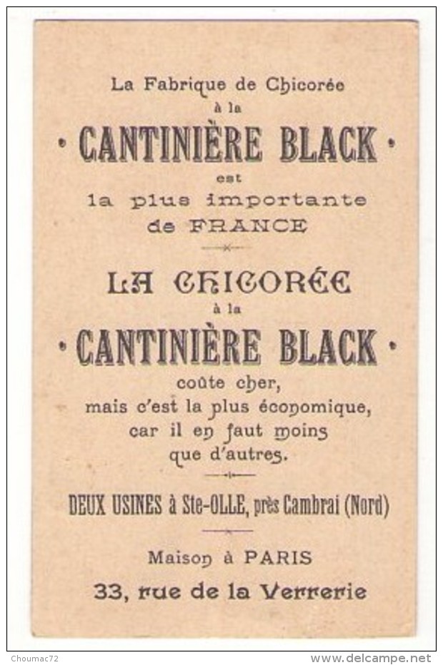 (Chromos) Chicorée Cantiniére Black à Sainte Olle, Etude De Peinture En 25 Sujets, Sujet 22, TB - Tee & Kaffee