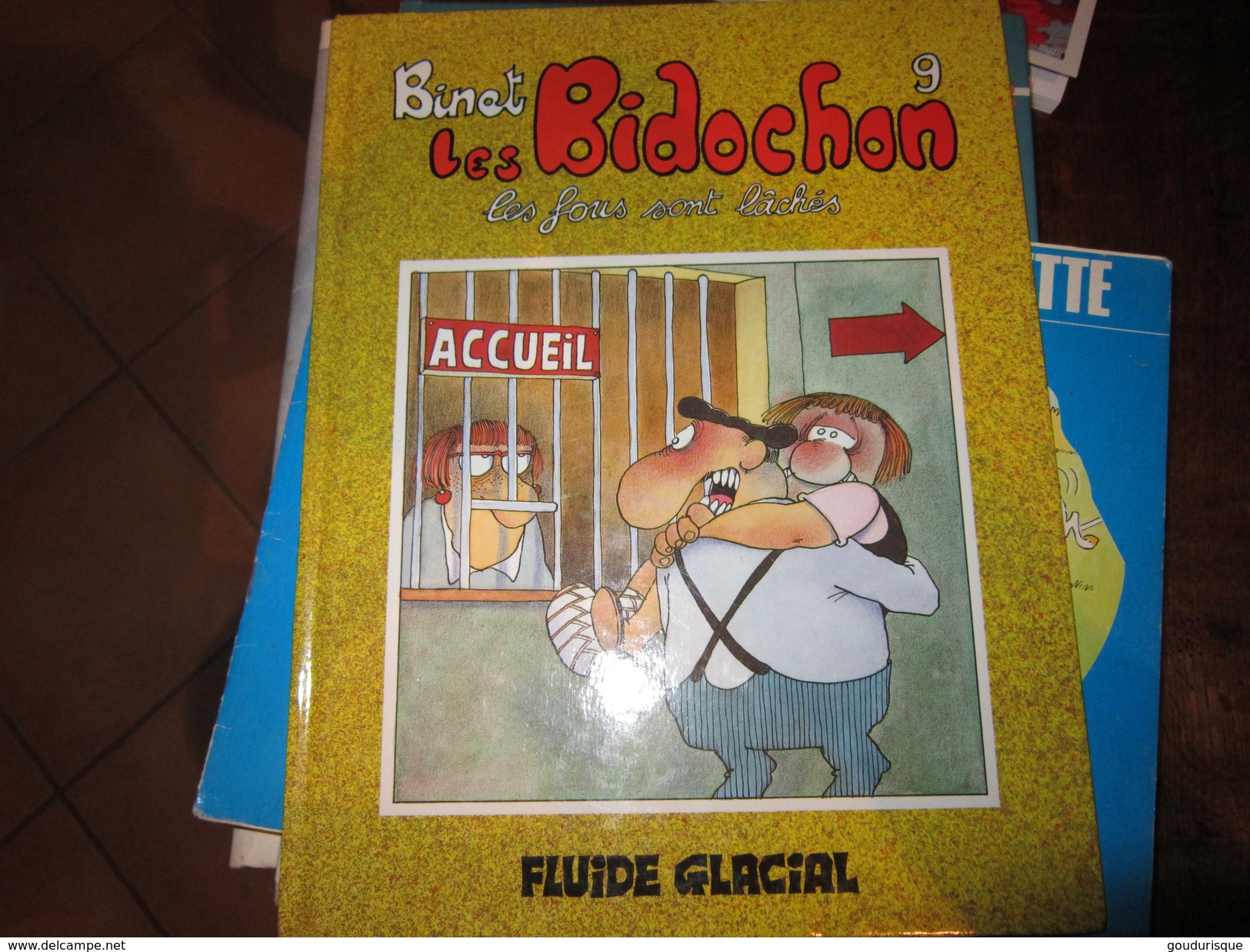 LES BIDOCHONS  T9 LES FOUS SONT LACHES    BINET   Fluide Glacial - Bidochon, Les