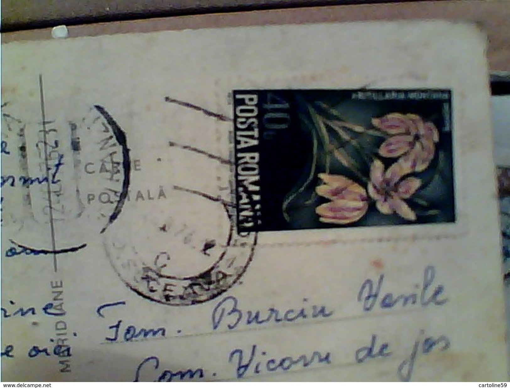 ROMANIA TECHIRGHIOL AUTOBUS  STAMP TIMBRE 40 BANI VB1976  GA13056 - Romania