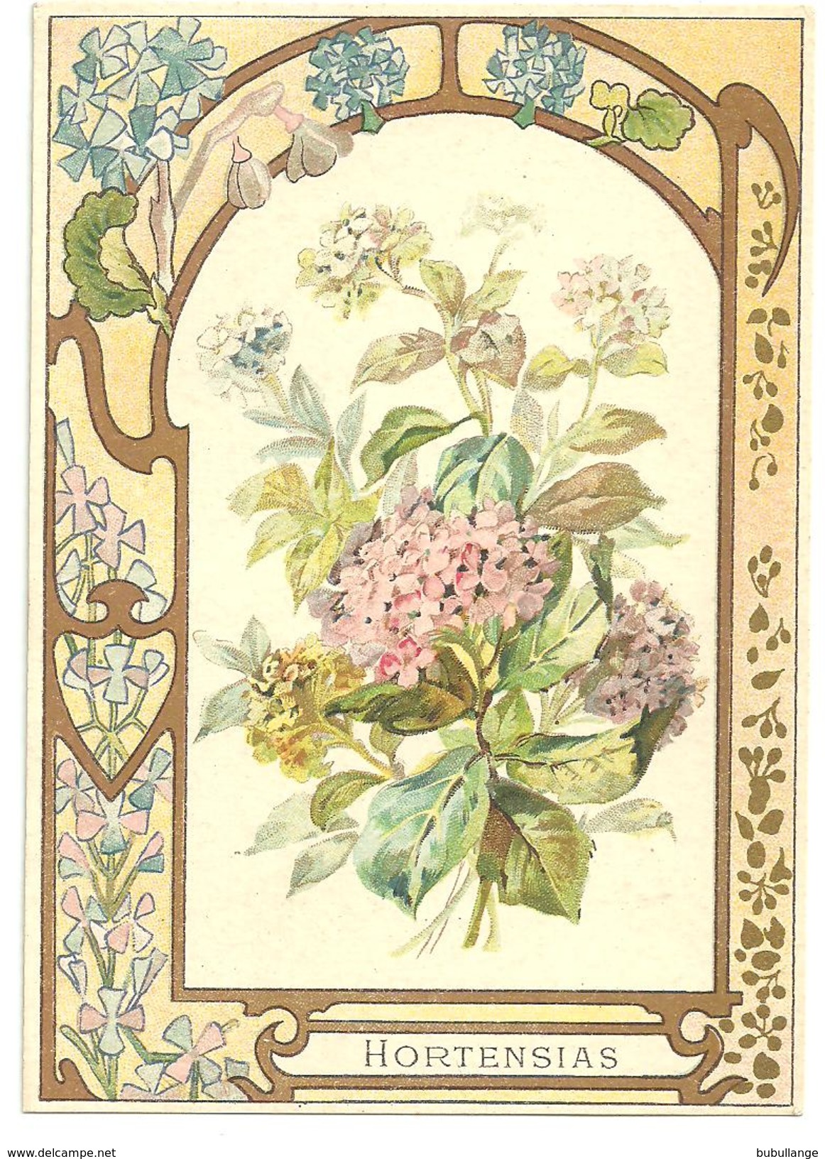 Chromo Fiche Descriptive Fleurs Hortensias Cadre Frise Art Déco Dorures, 9.5cm X 13.5cm, N°22 - Sonstige & Ohne Zuordnung