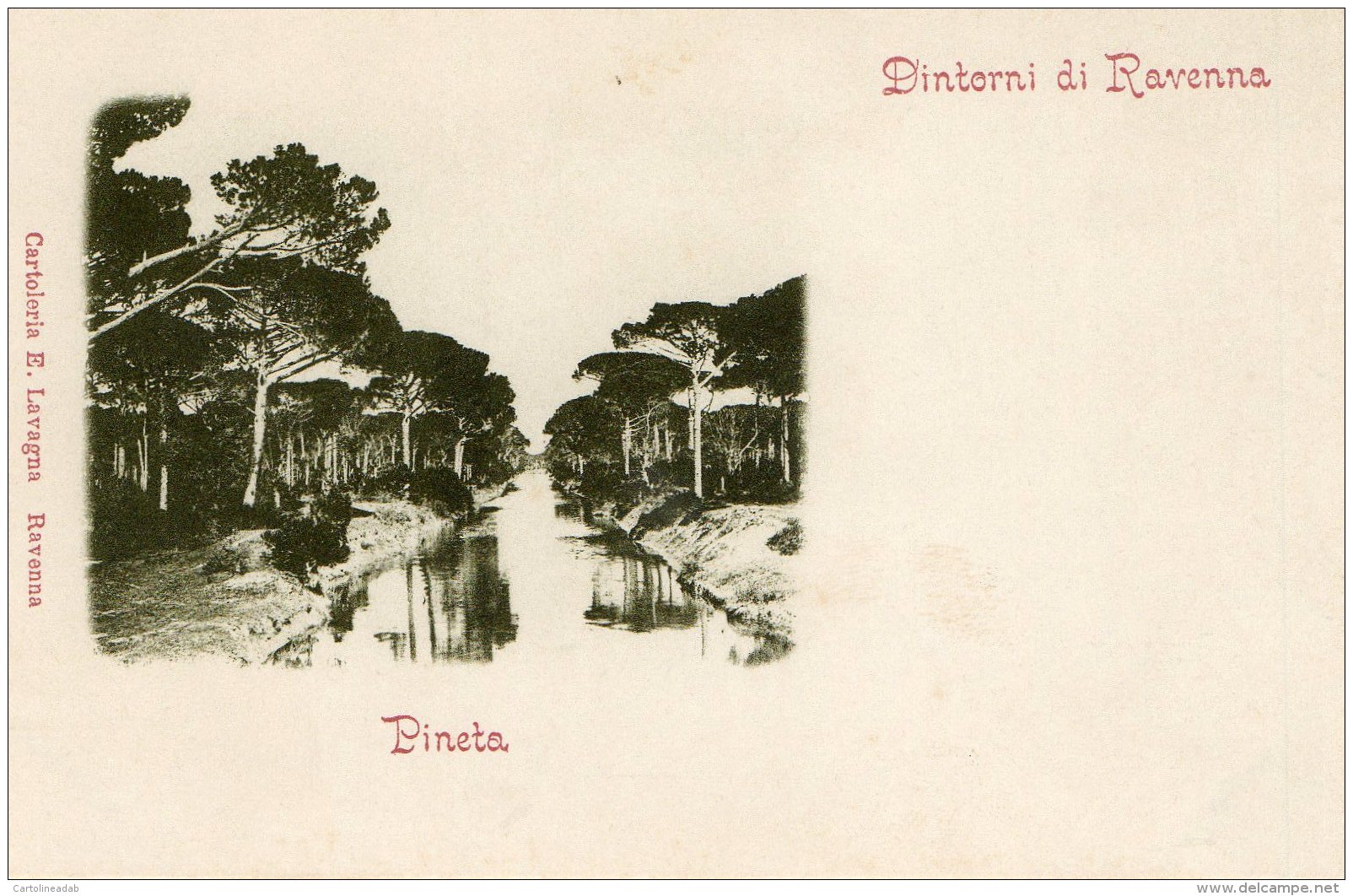 [DC9909] CPA - RAVENNA - PINETA DINTORNI DI RAVENNA - Non Viaggiata - Old Postcard - Ravenna