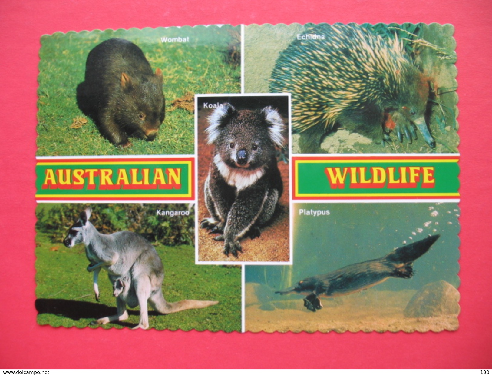 AUSTRALIAN WILDLIFE:Koala,Wombat,Kangaroo,Echidna,Platypus - Outback
