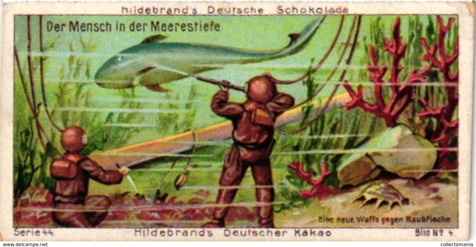 5 Cards   Scuba Diving Scaphandrier Tauchen PUB Liebig Choc Hildebrand Berlin L'AN Year 2000 Bee's Polish - Diving