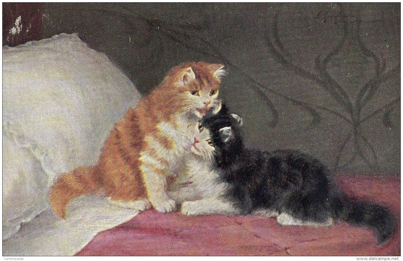 [DC9017] CPA - COPPIA DI GATTI SUL LETTO - ANIMALI - Non Viaggiata - Old Postcard - Gatti