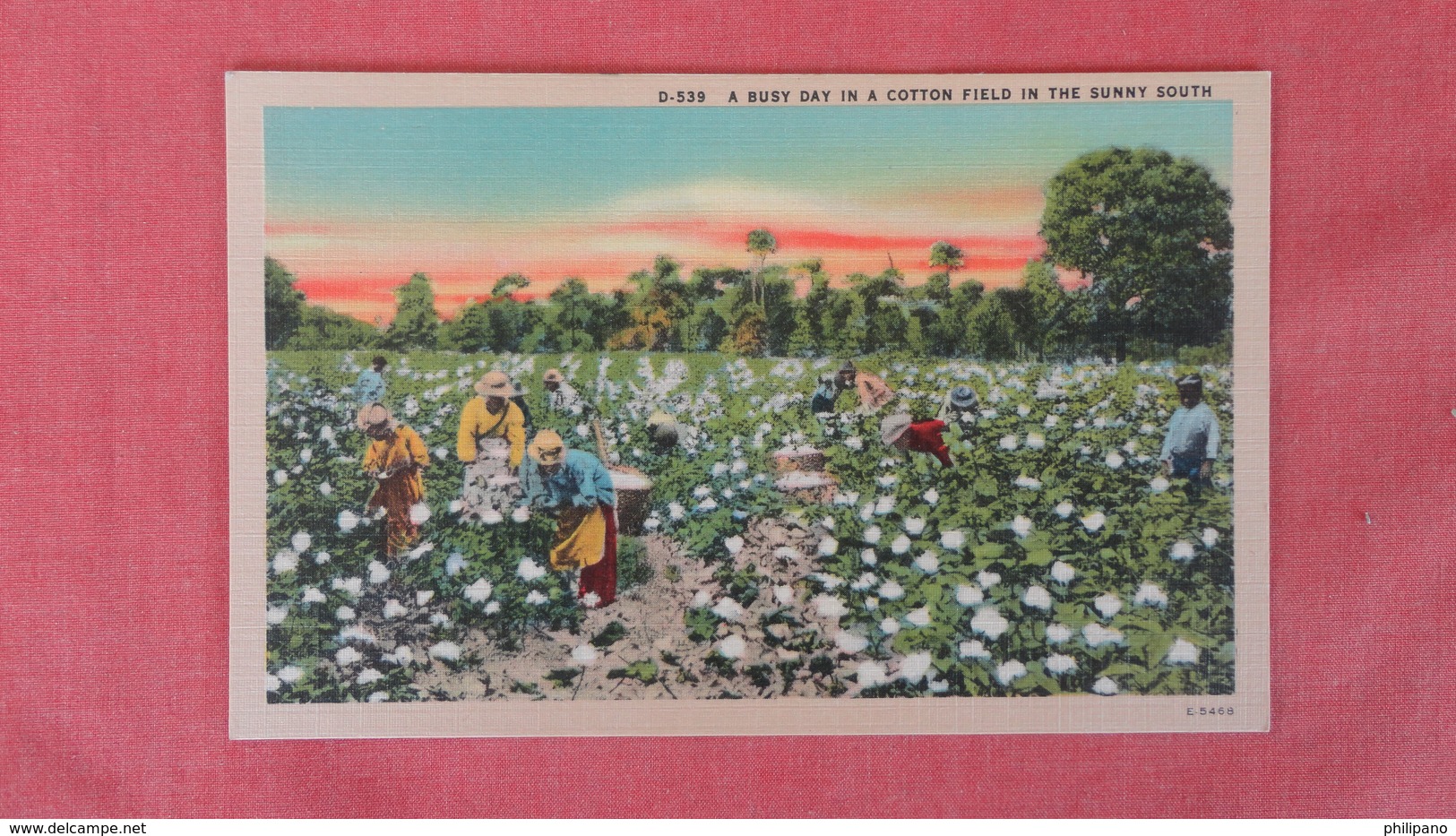 Black Americana    Busy Day In Cotton Field   -- Ref 2509 - Black Americana