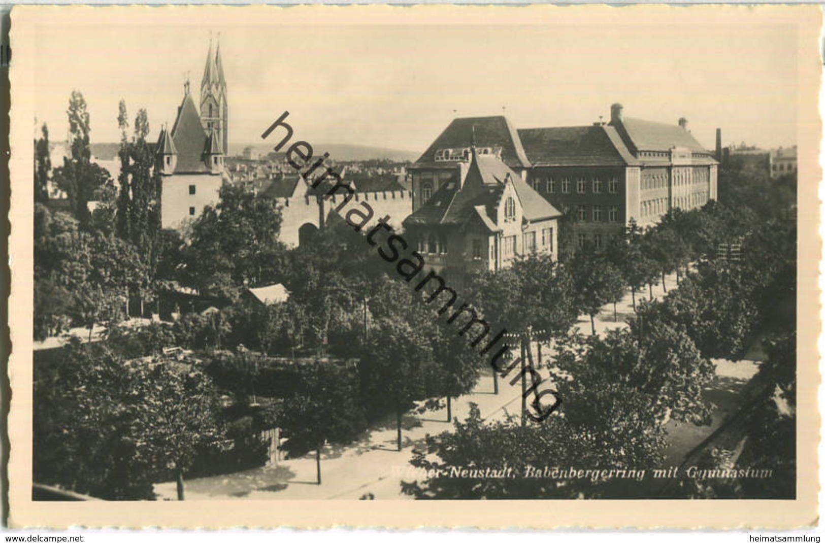 Wiener Neustadt - Babenbergerring - Gymnasium - Foto-Ansichtskarte - Wiener Neustadt