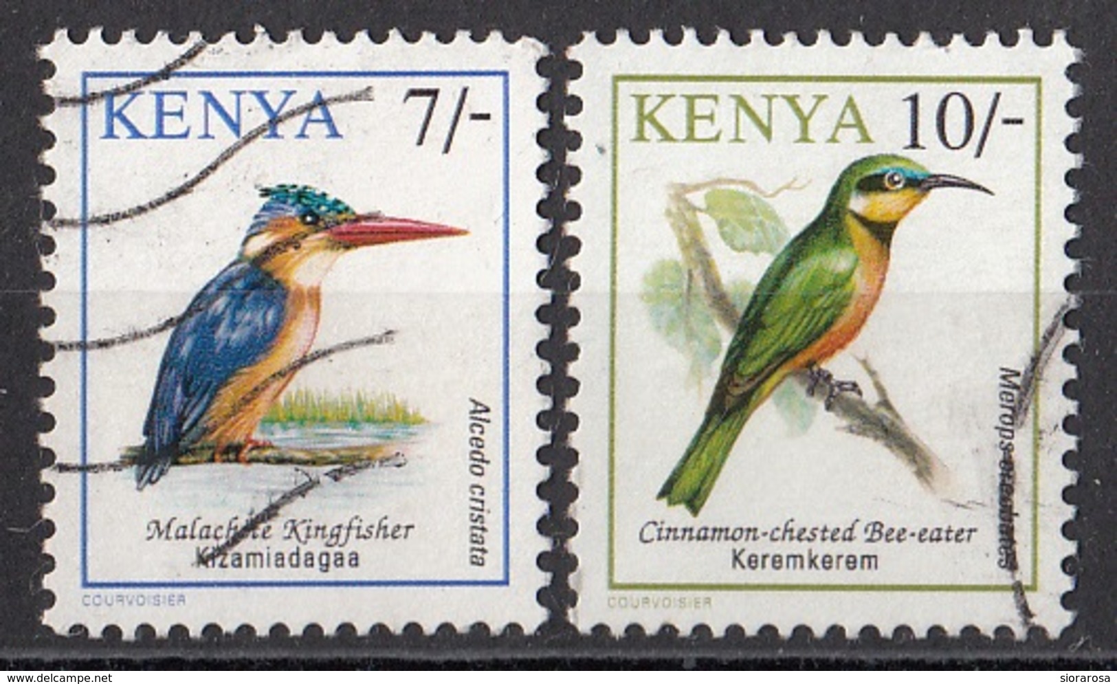 602 Kenia 1993 Uccelli Birds Martin Pescatore Gruccione Cannella Viaggiato Used - Sparrows