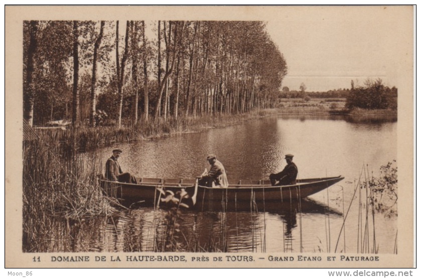 37 - BEAUMONT LA RONCE - DOMAINE DE LA HAUTE BARDE  -  PARTIE DE PECHE DANS LE GRAND ETANG - Beaumont-la-Ronce