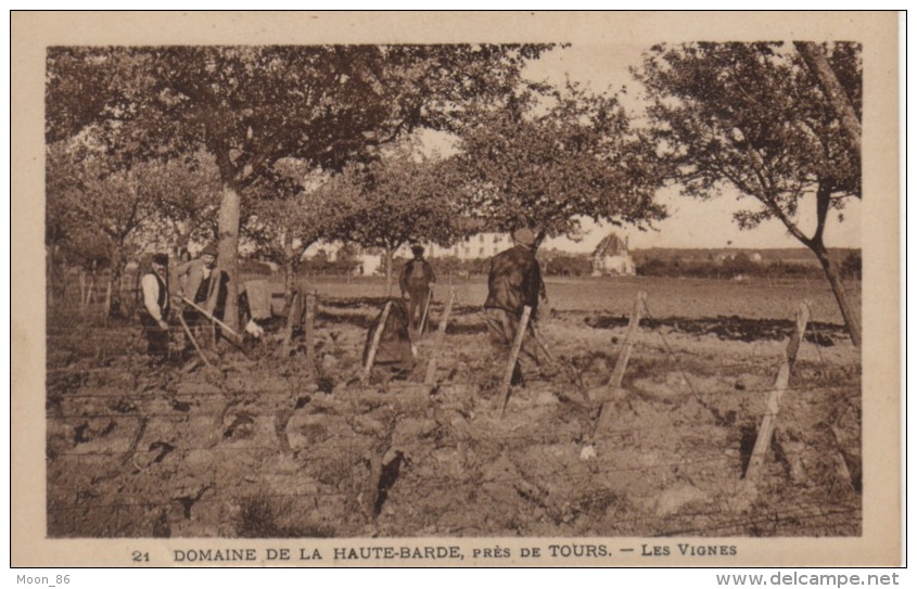 37 - BEAUMONT LA RONCE - DOMAINE DE LA HAUTE BARDE  - CULTURE DE LA VIGNE  VIGNERON  PAYSAN - Beaumont-la-Ronce