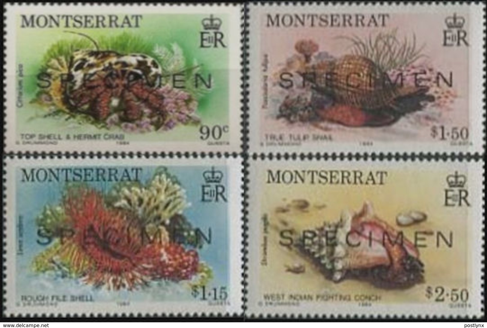 MONTSERRAT 1984 Marine Life SPECIMEN SET:4 [spécimen,Muster,muestra,saggio] - Montserrat