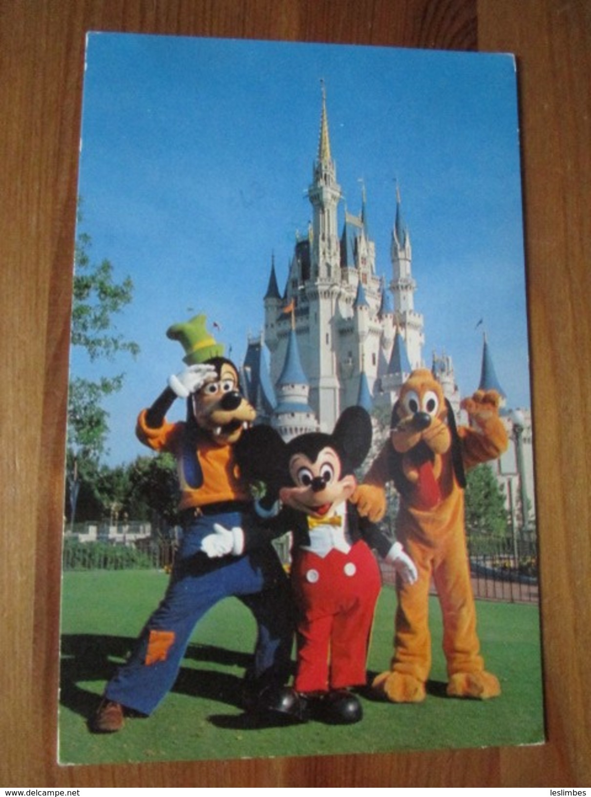 Walt Disney World. Mickey Mouse And His Pals, Goofy And Pluto, Greet Guests Near The Cinderella Castle - Orlando