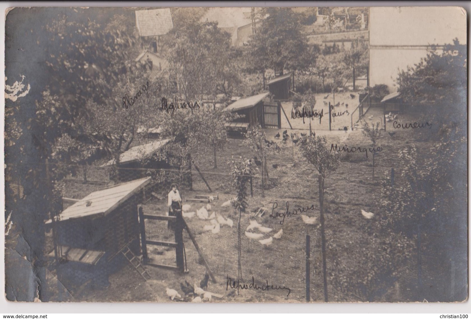 CARTE PHOTO ECRITE DE ROZIERS SAINT-GEORGES EN 1914 - LES POULAILLERS - 2 SCANS - - Other & Unclassified