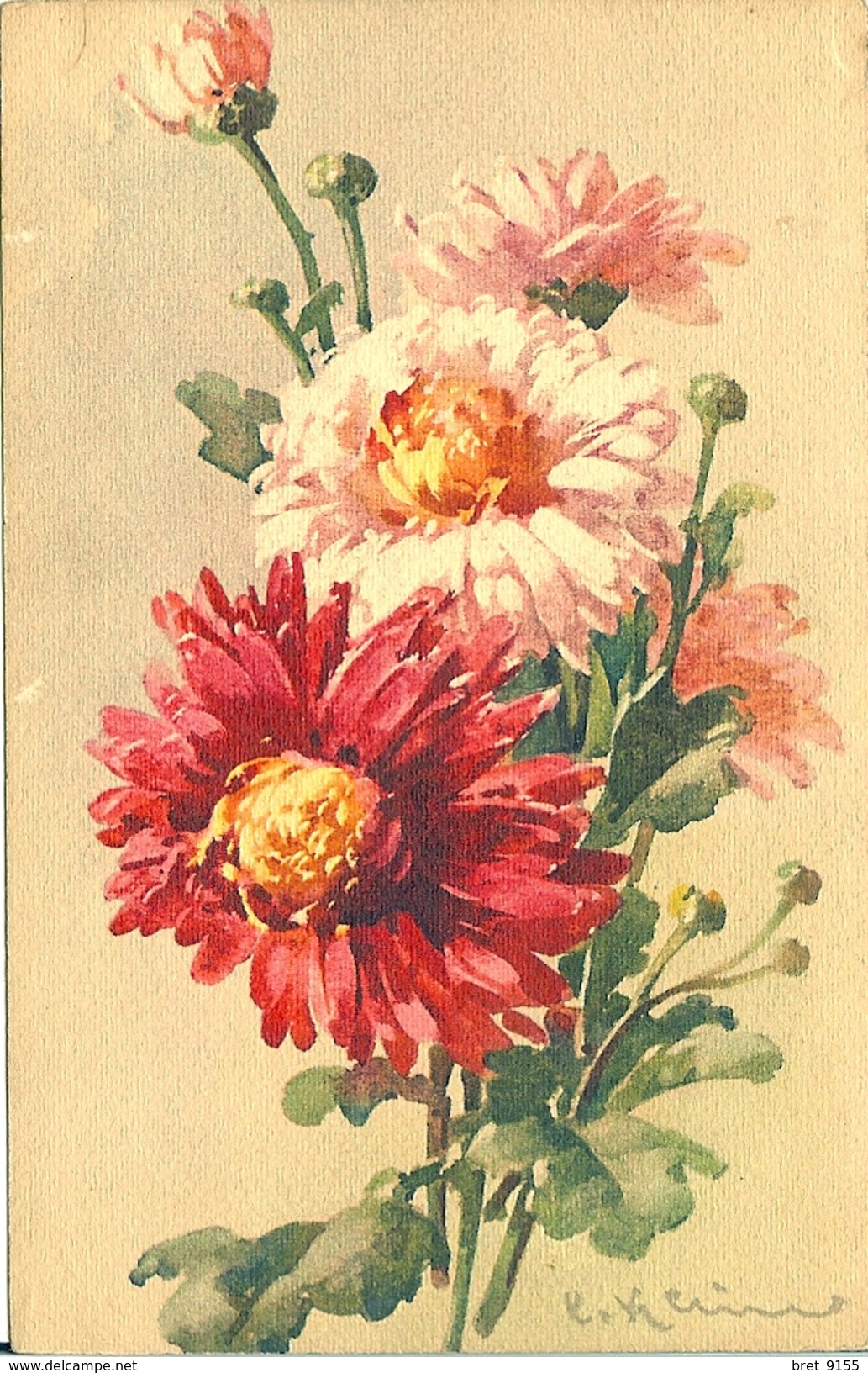 ILLUSTRATEUR CATHARINA KLEIN AMOUR DES FLEURS - Klein, Catharina