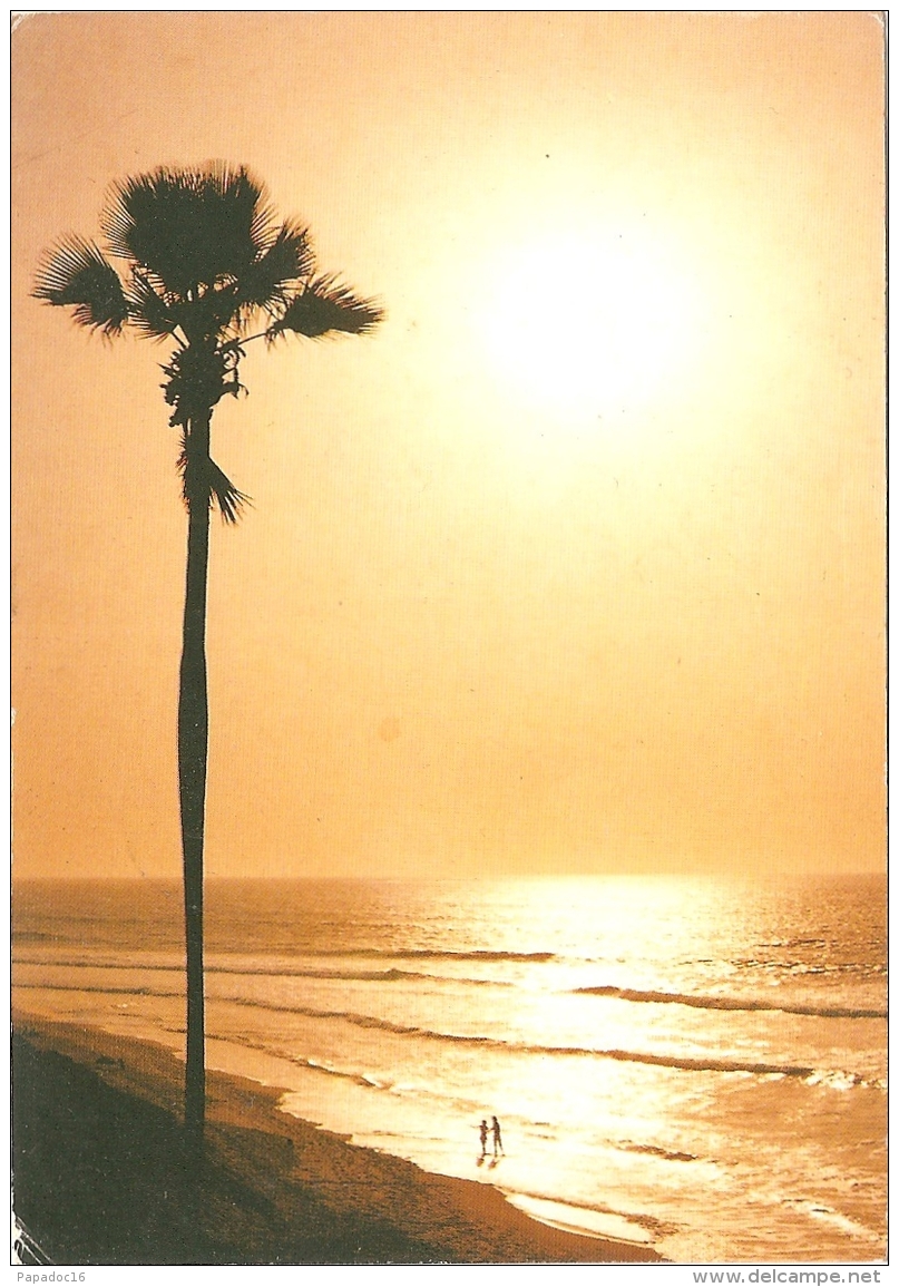 GM - The Gambia - Fajara Beach - Ed. Vistacolor / Photo Peter Brown N° 427 (circ. 19892) - [Bakau] - Gambie