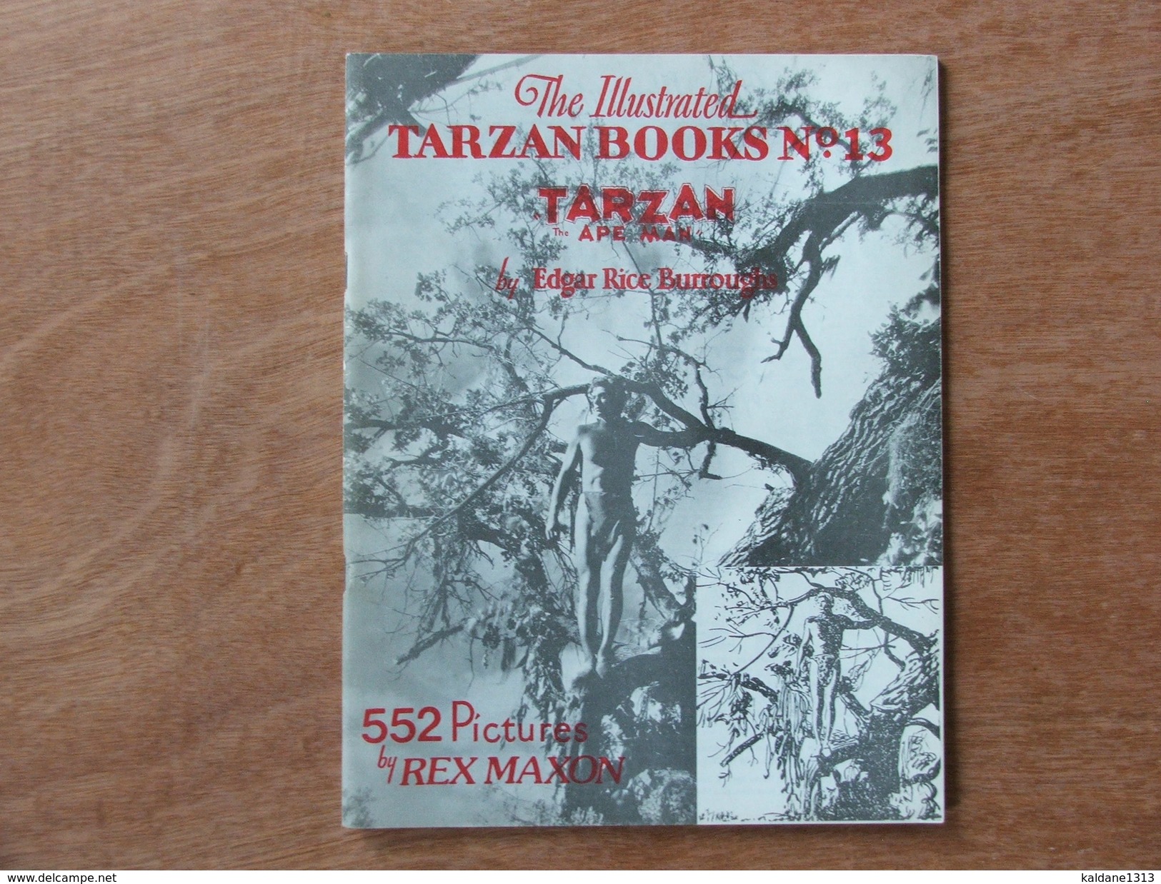 Tarzan The Illustrated Books N°13 House Of Greystoke Rex Maxon - Autres & Non Classés