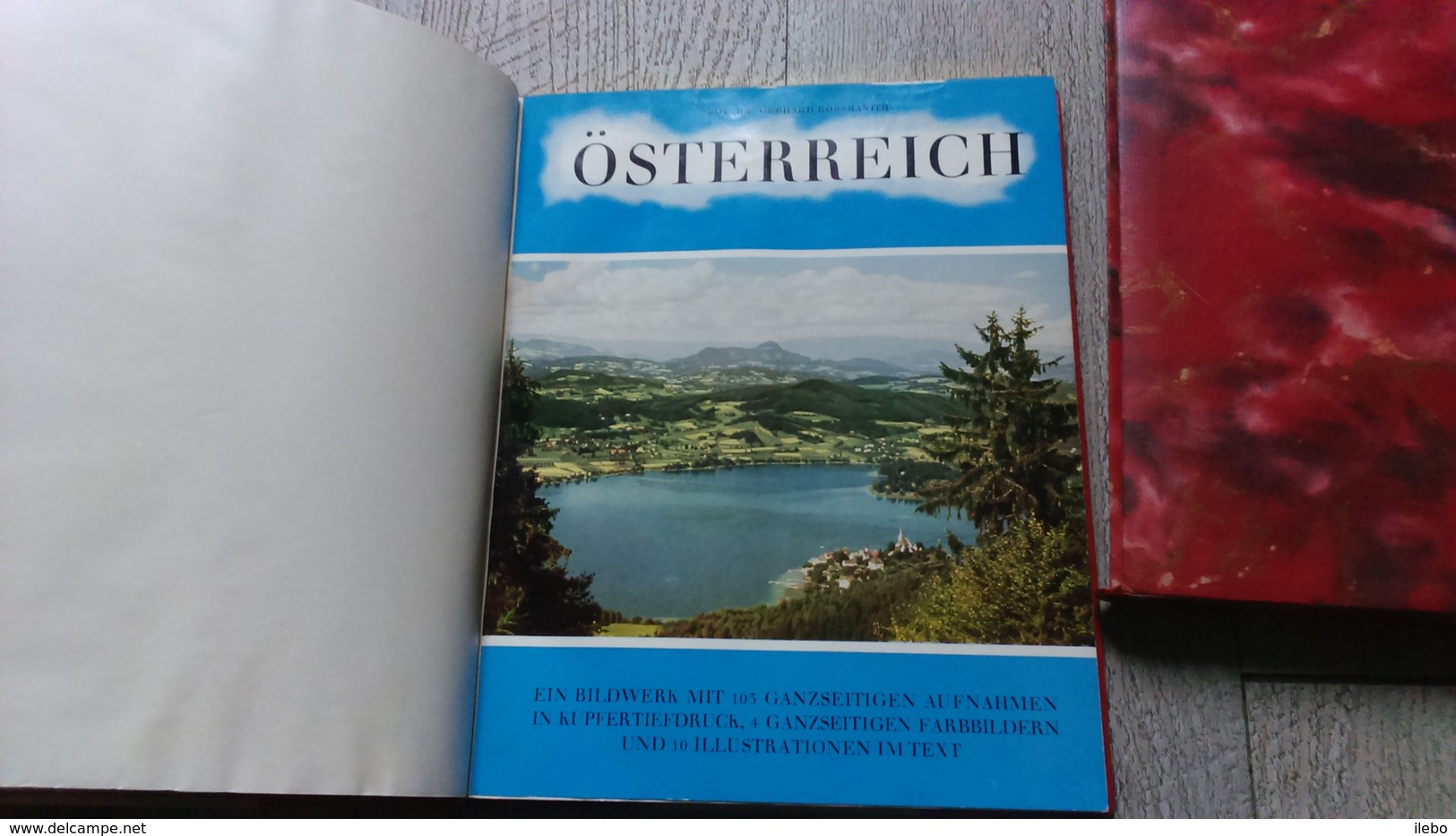 Osterreich De Prof Gebhard Rossmanith Ein Bildwerk 1953 Autriche Jolie Reliure Demi Cuir - Austria
