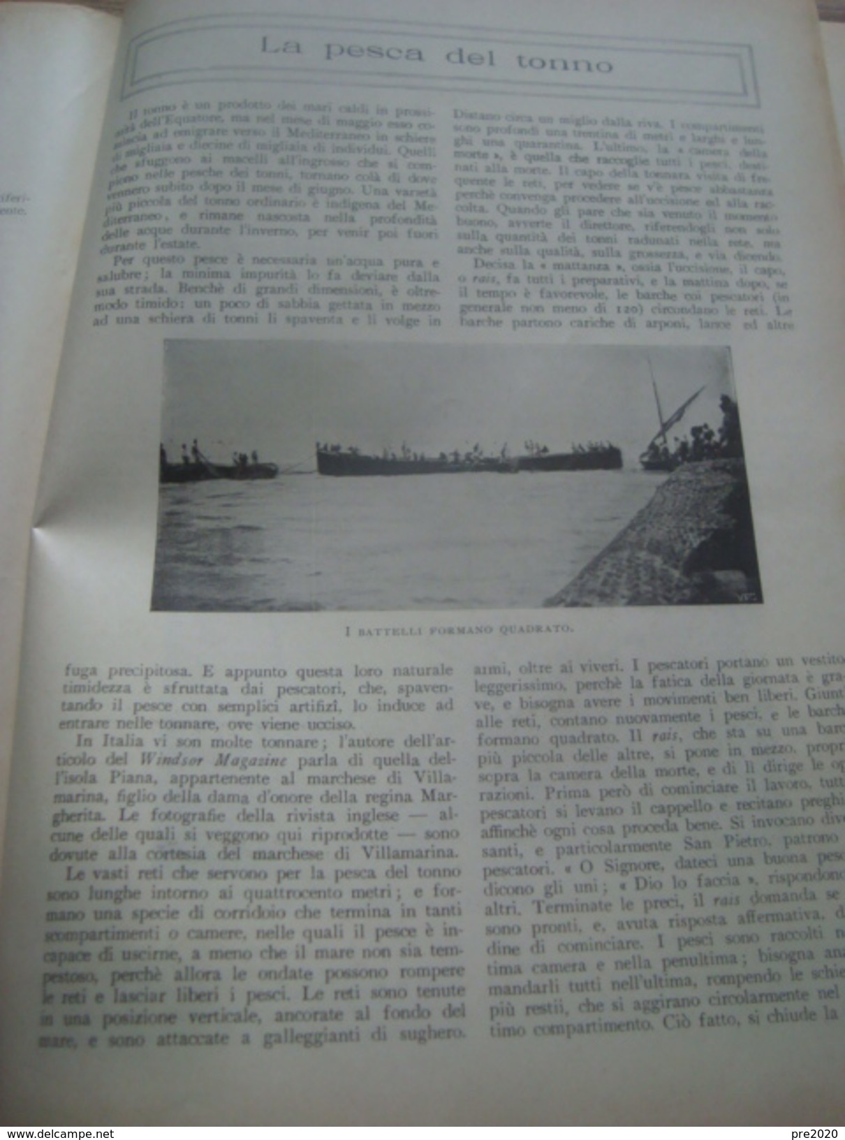 LA LETTURA 1902 SIRMIONE DESENZANO SALO' MATTANZA DEL TONNO