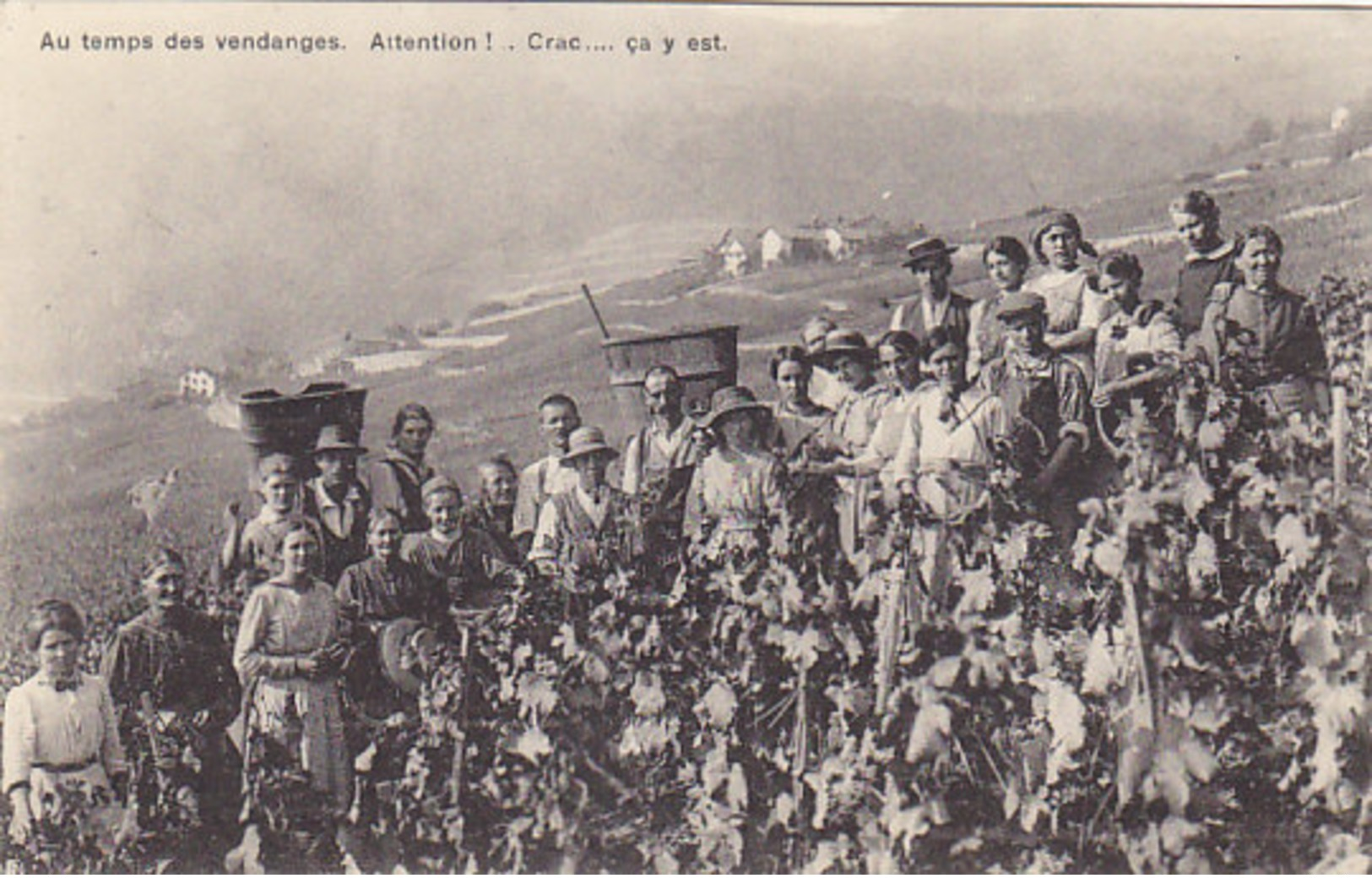 Au Temps Des Vendanges - Crac...a Y Est      (P30-30216) - Vignes