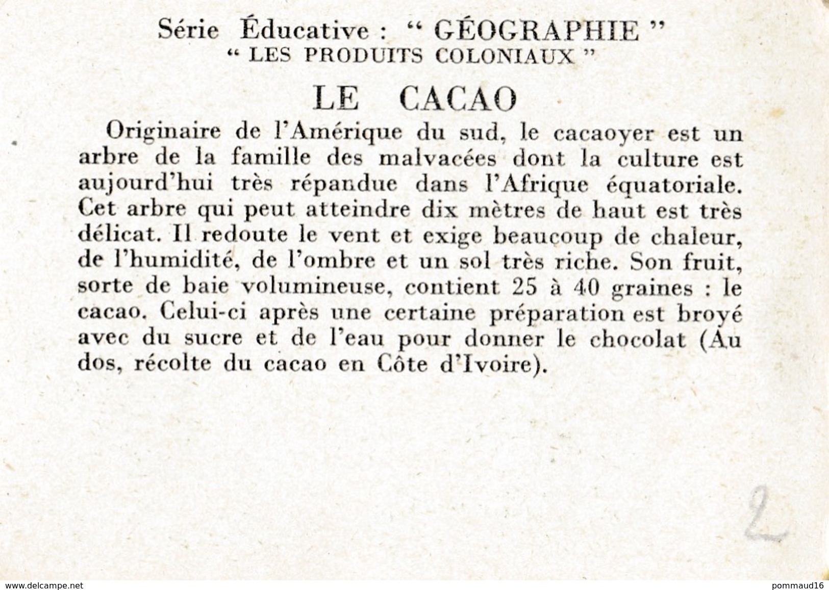 Image Le Cacao - Les Produits Coloniaux, Série éducative Géographie - Autres & Non Classés