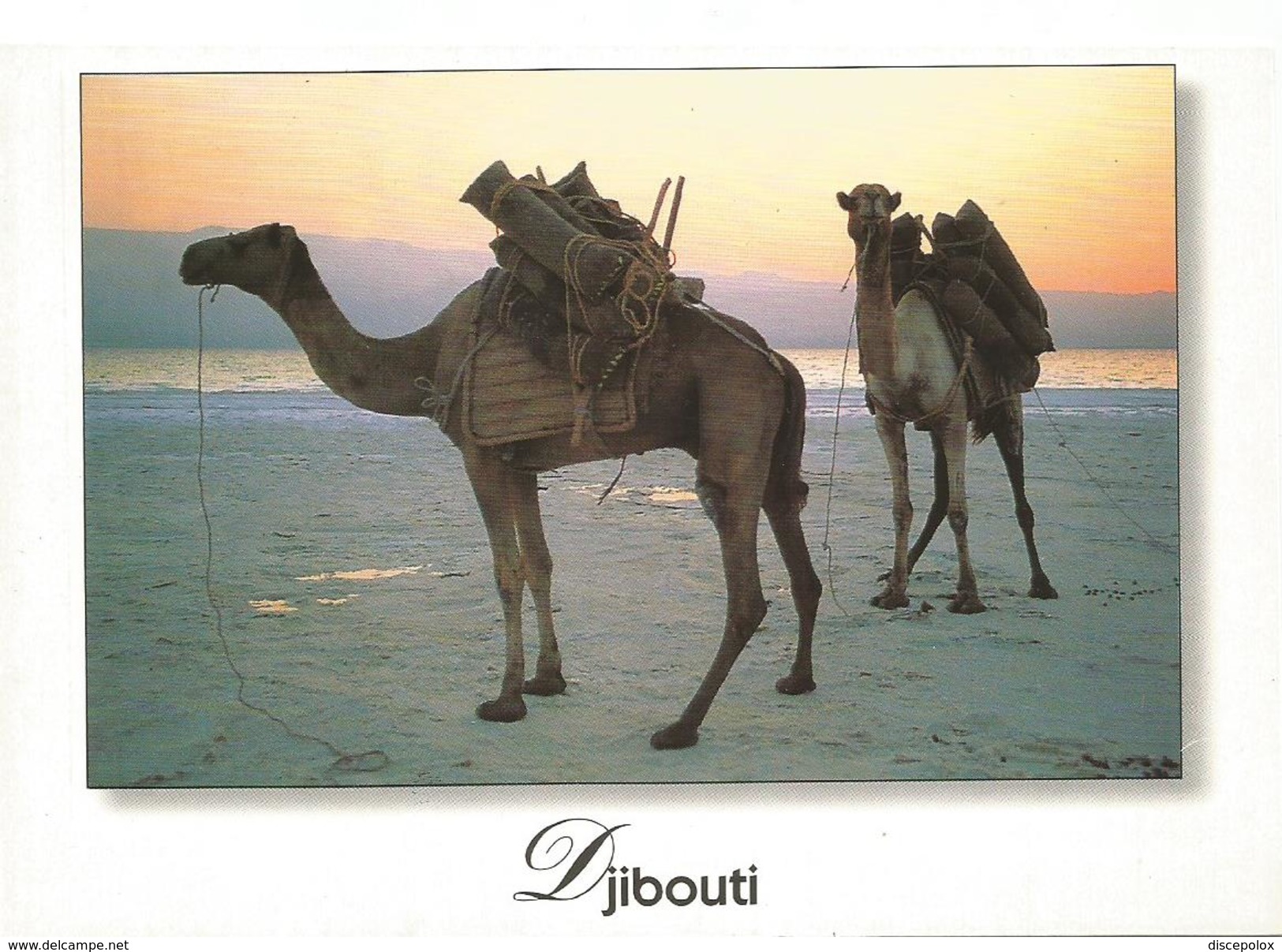 T3311 Djibouti - Caravane De Sel - Cammello, Camel, Chameau, Kamel / Non Viaggiata - Gibuti