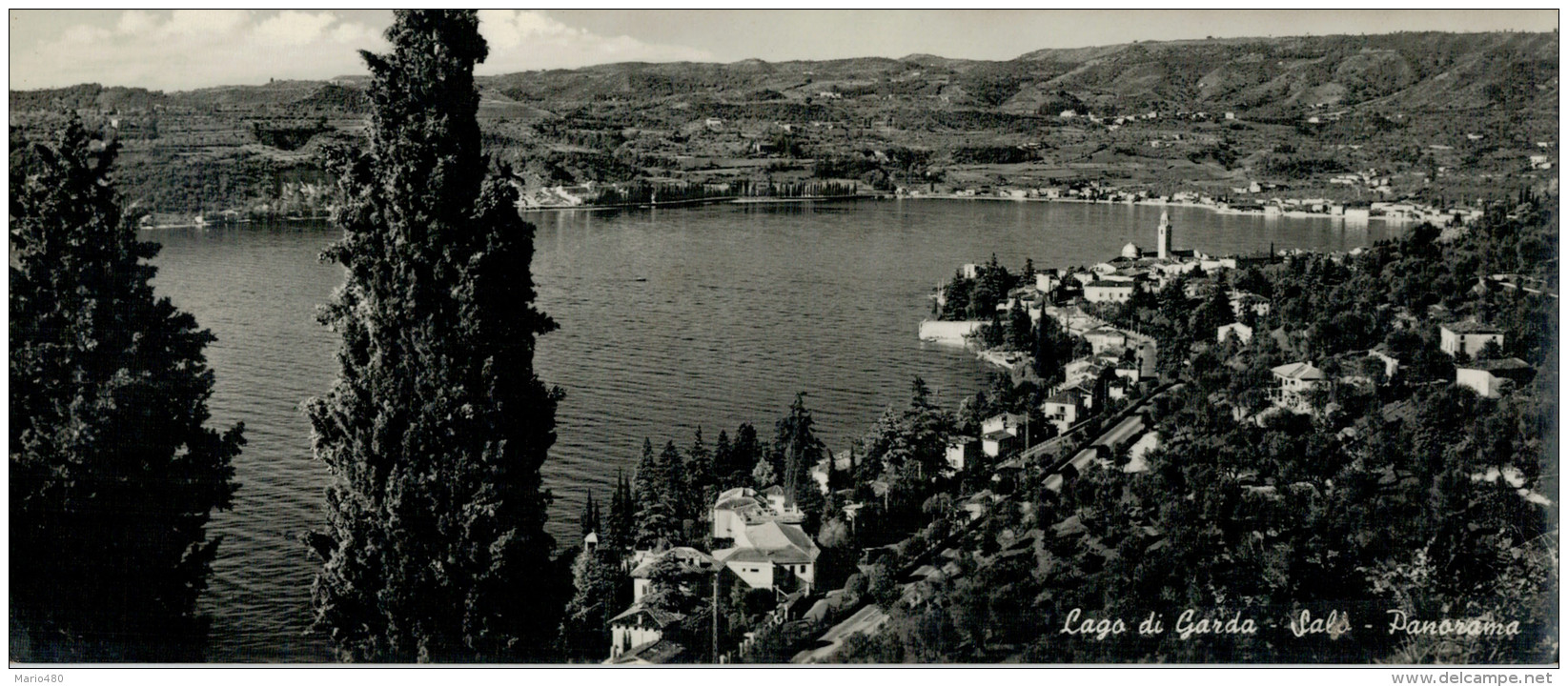 LAGO  DI  GARDA    SALO'   PANORAMA     Cm: 8,8 X 20,6  (NUOVA) - Altri & Non Classificati