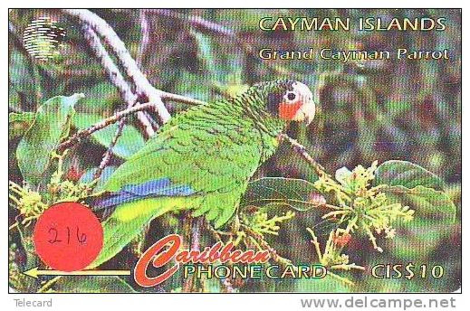 Bird PERROQUET Parrot PAPAGEI Papagaai Oiseau Telecarte (216) CAYMAN ISLANDS - Papageien