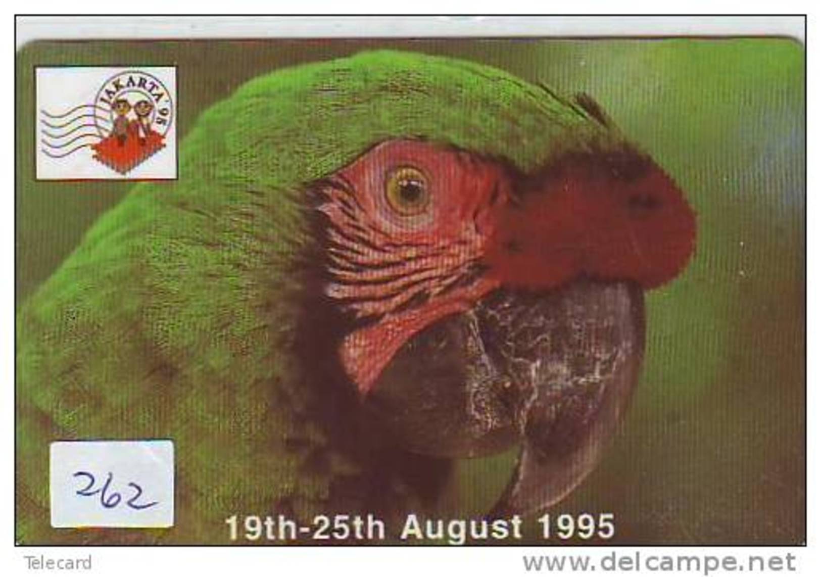 Bird PERROQUET Parrot PAPAGEI Papagaai Oiseau (262) - Papageien