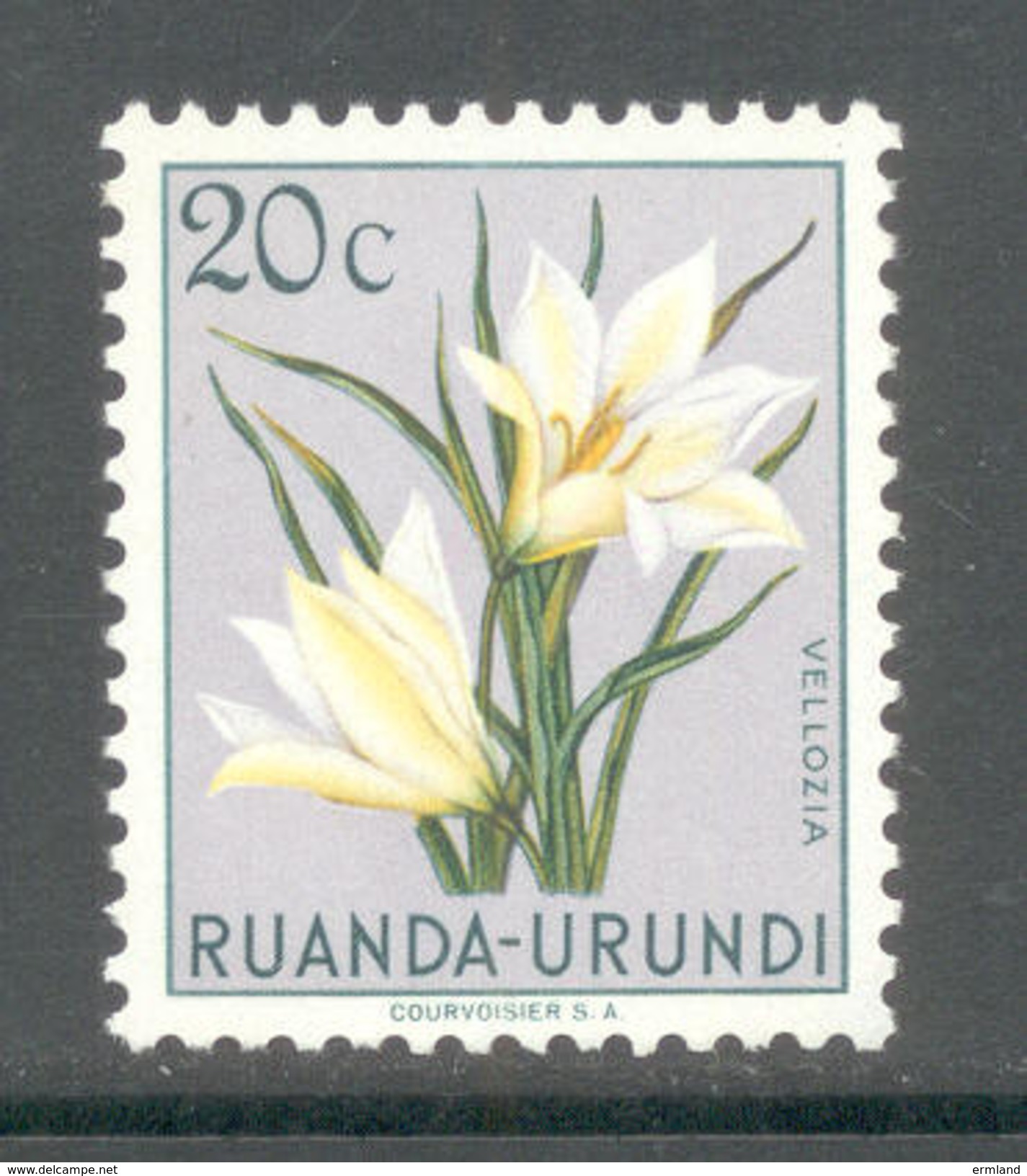 Ruanda Urundi 1953 - Michel Nr. 135 ** - Ungebraucht