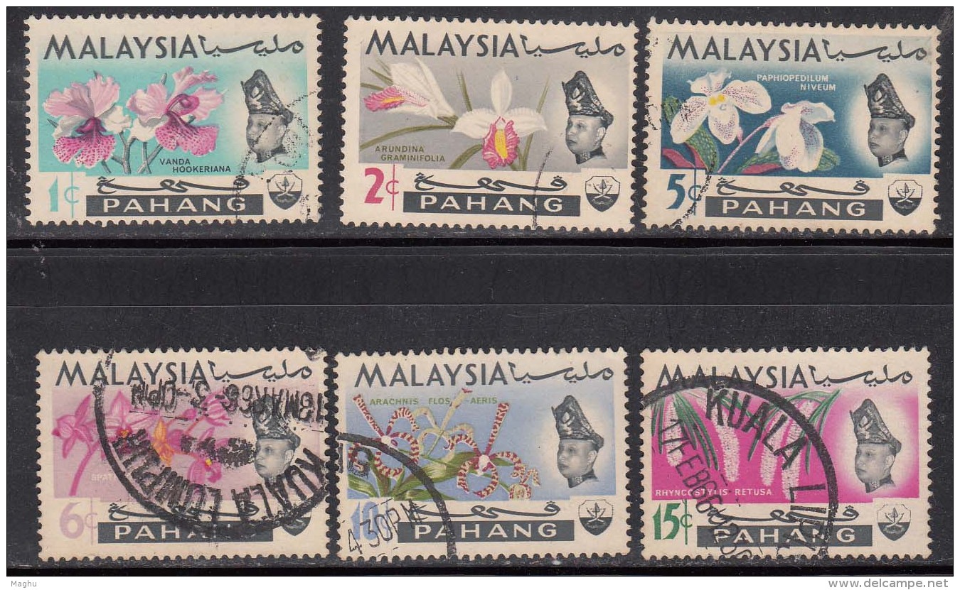 6v Used Pahang 1965, Malaya, Orchid, Flower, Plant - Perak