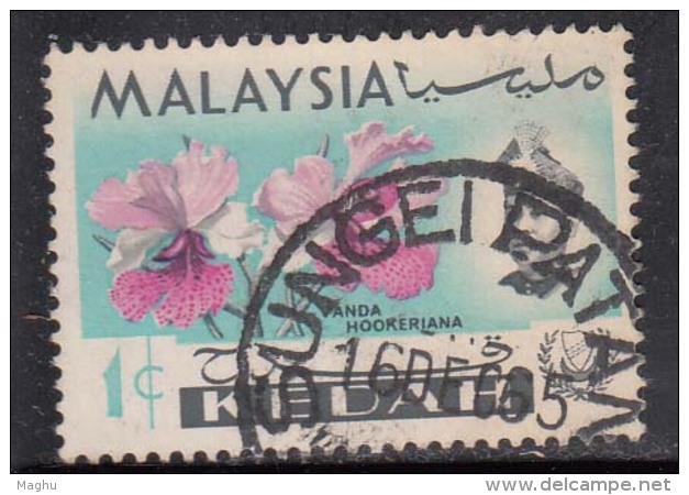 1c Used Kedah, 1965, Malaya, Orchid, Flower, Plant - Kedah