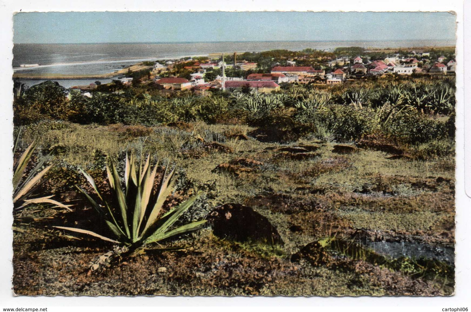 - FRANCE (La Réunion) - CPSM COLORISEE Vierge ILE DE LA REUNION - SAINT-PIERRE - Vue Générale - - Saint Pierre