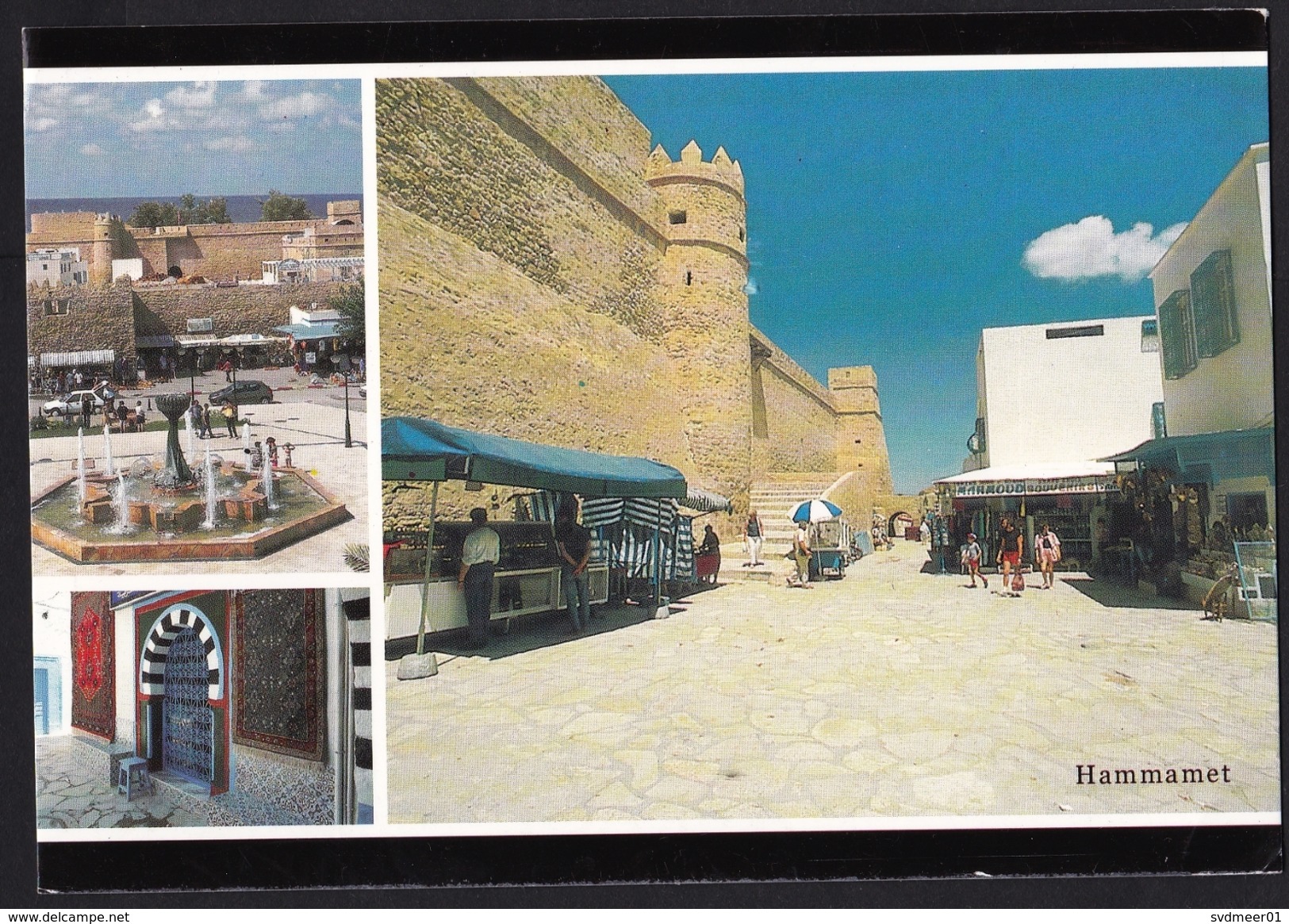 Tunisia: Picture Postcard To Netherlands, 2007, 1 Stamp, Herb, Plant, Flower, Card: Hammamet (traces Of Use) - Tunesië (1956-...)