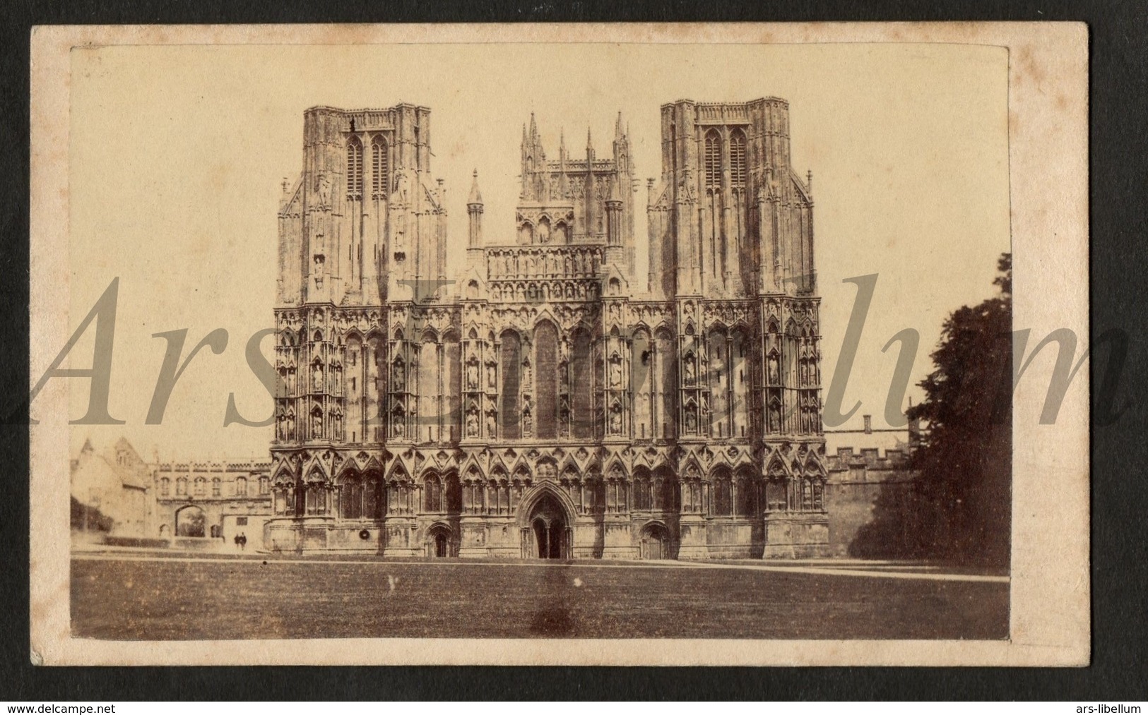 Photo-carte De Visite / CDV / W / 2 Scans / England / R. Wilkinson / Trowbridge Wilts / Wells Cathedral / Somerset - Lieux