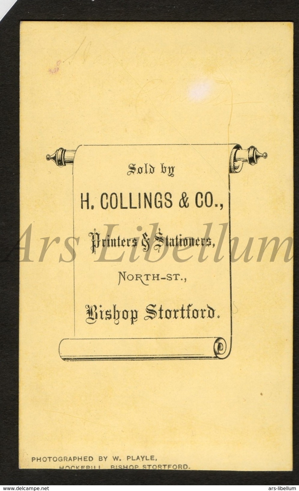 Photo-carte De Visite / CDV / W / 2 Scans / England / H. Collings & Co / Bishop's Stortford / Photo By W. Playle - Lieux