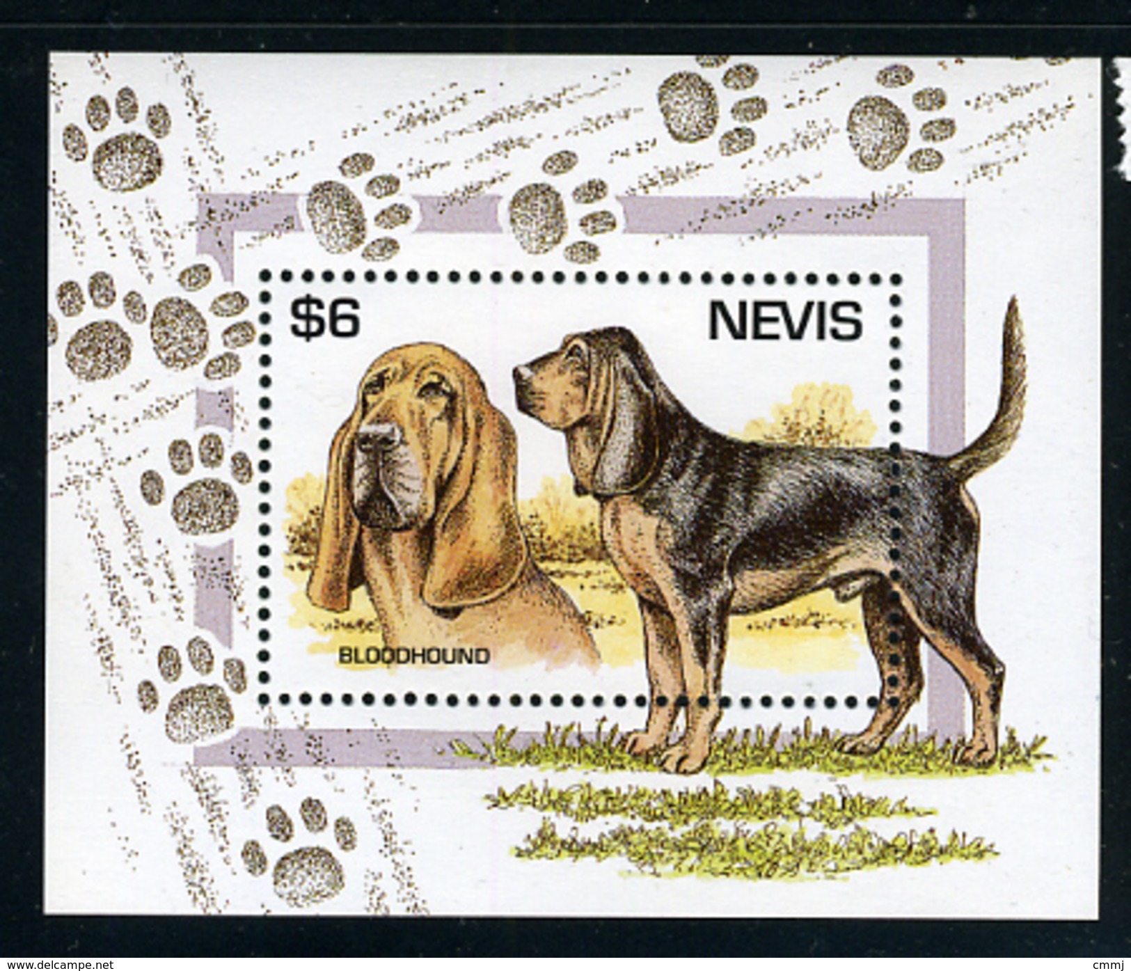 1990/2000 - NEVIS - Catg. Mi.  907 - NH - (ST330.517) - St.Kitts E Nevis ( 1983-...)