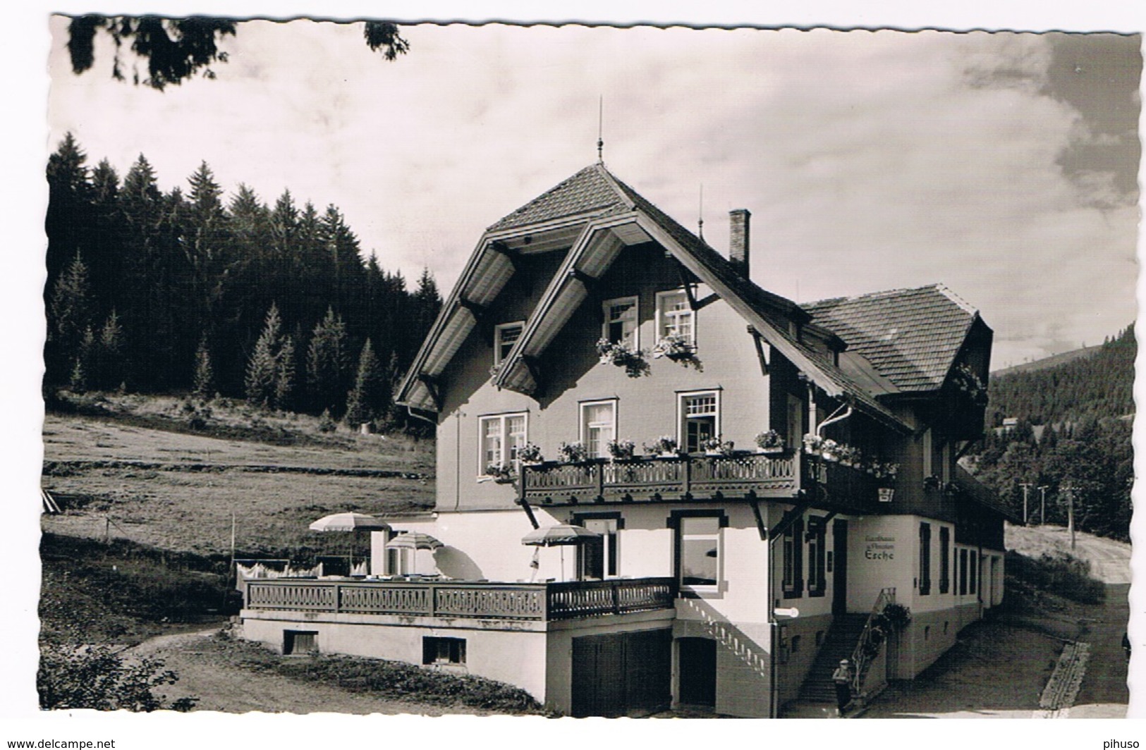 D-7375      ALPERSBACH : Gasthaus Und Pension Zur Esche - Hinterzarten