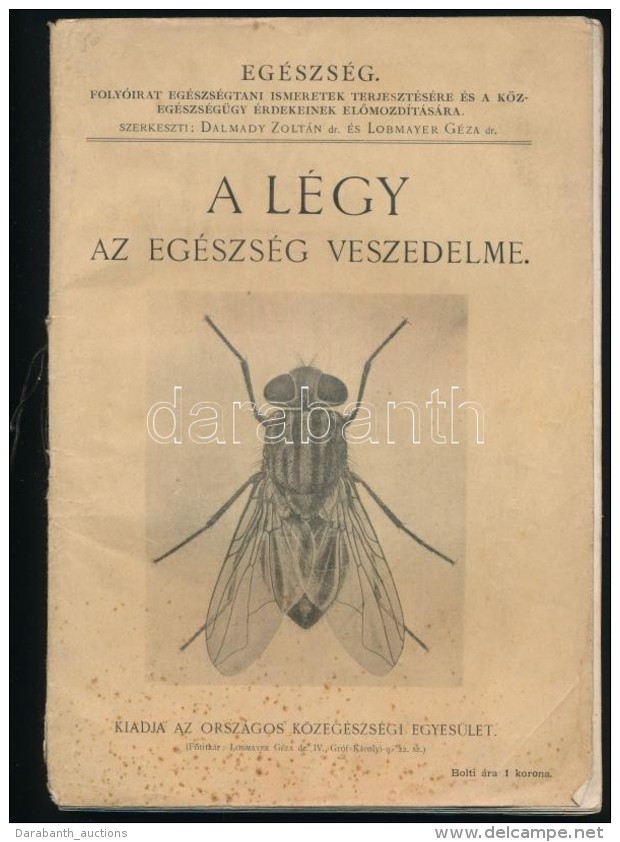 Dalmady Zolt&aacute;n &eacute;s Lobmayer G&eacute;za: A L&eacute;gy. Az Eg&eacute;szs&eacute;g Veszedelme. Bp.,... - Ohne Zuordnung