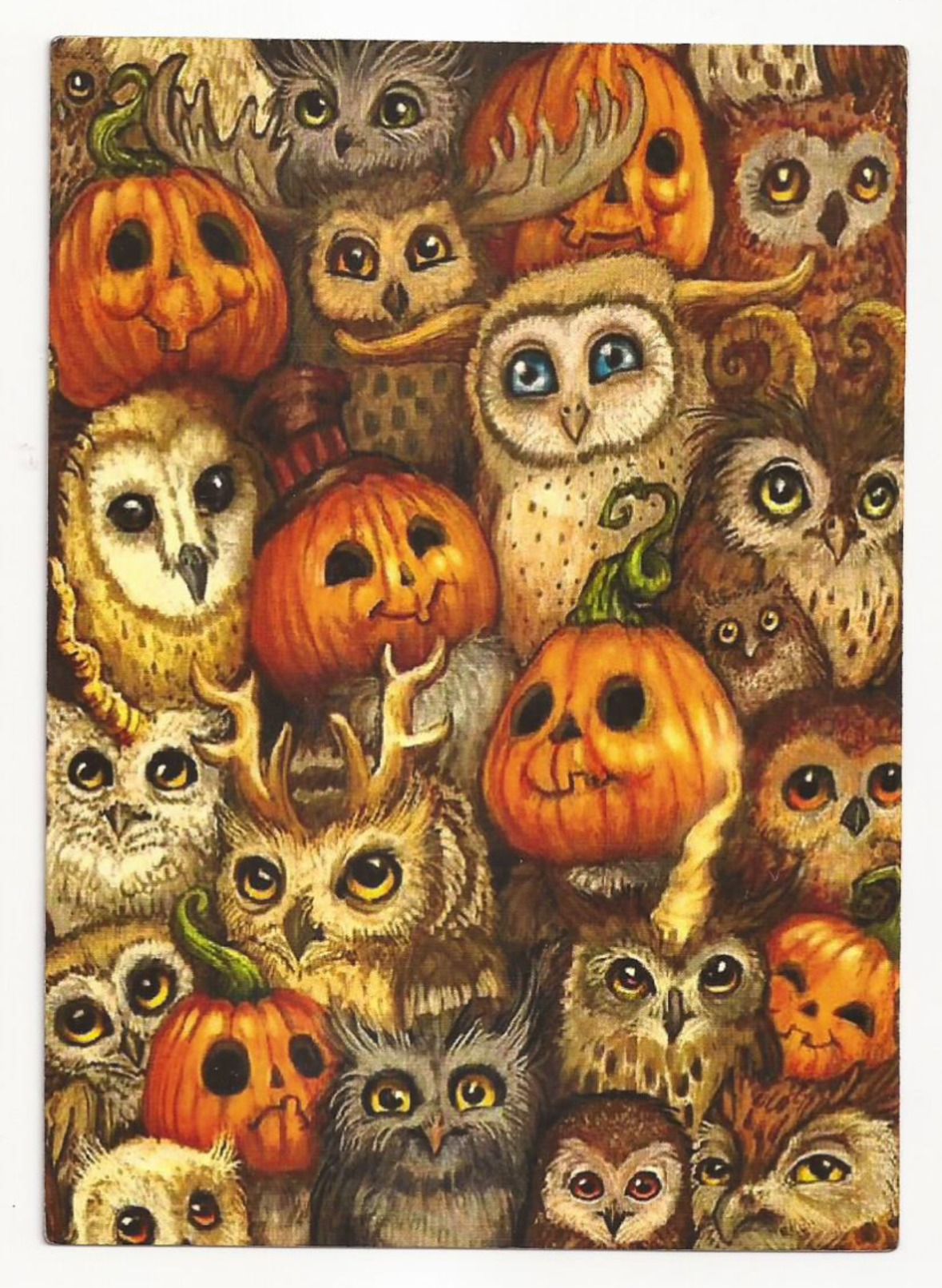 Halloween, Owls And Pumpkins, Unused Postcard - Zonder Classificatie