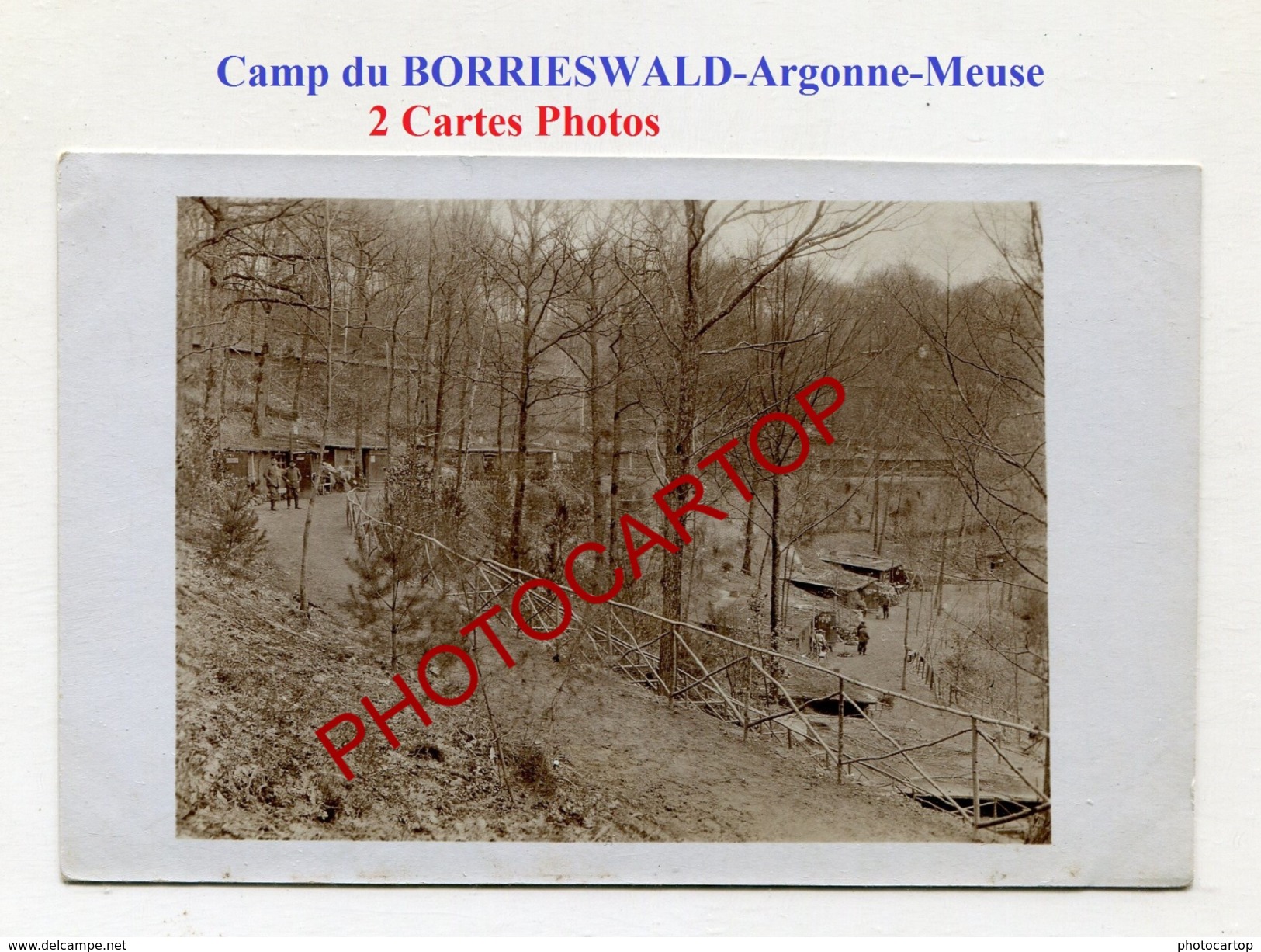 Camp Du BORRIESWALD-ARGONNE-MEUSE-2x CARTES PHOTOS Allemandes-GUERRE 14-18-1 WK-Militaria- - Weltkrieg 1914-18