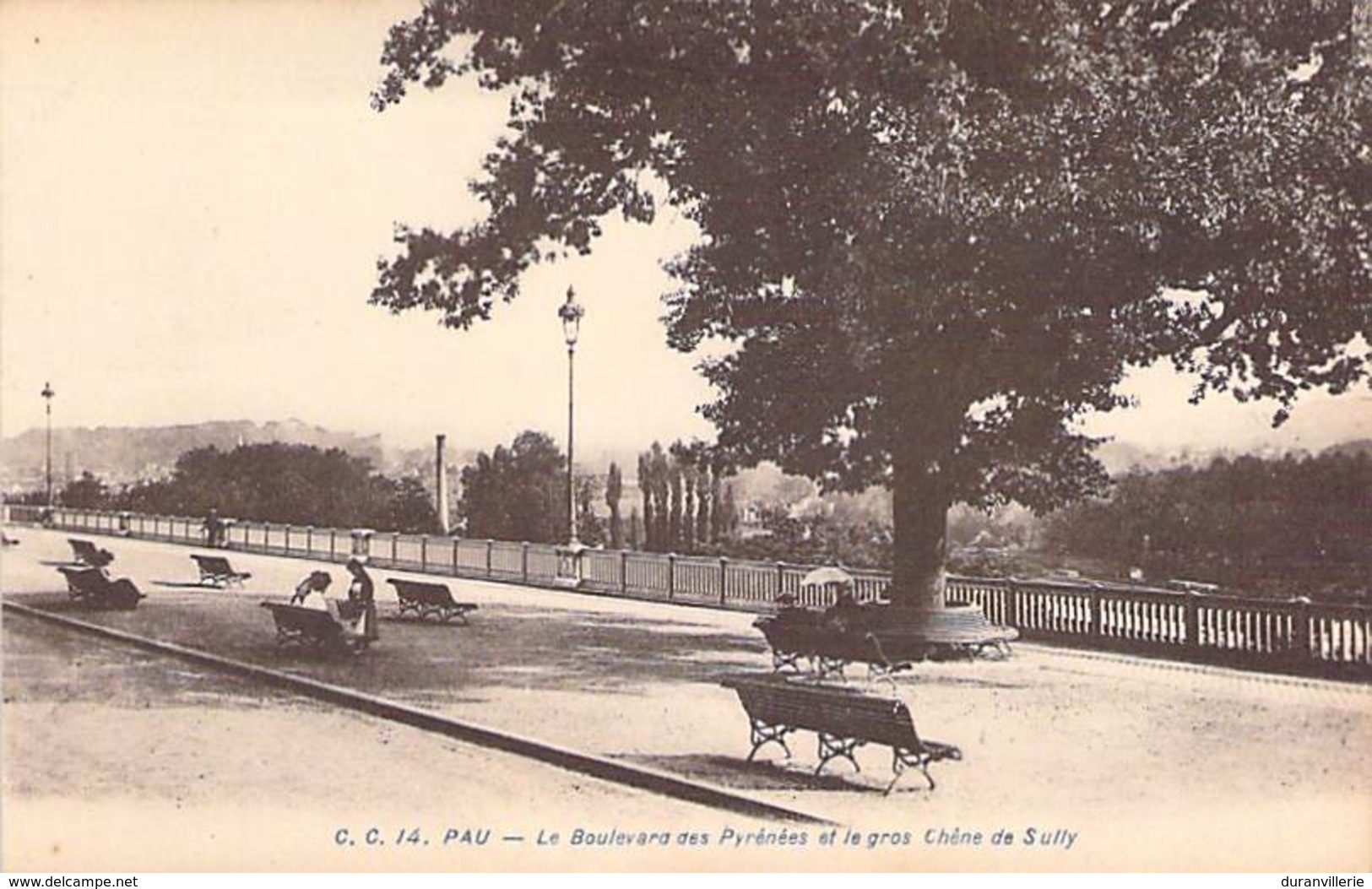 64 - PAU. Le Boulevard Des Pyrénées Et Le Gros Chêne De Sully. C. C. 14 Carrache - Pau