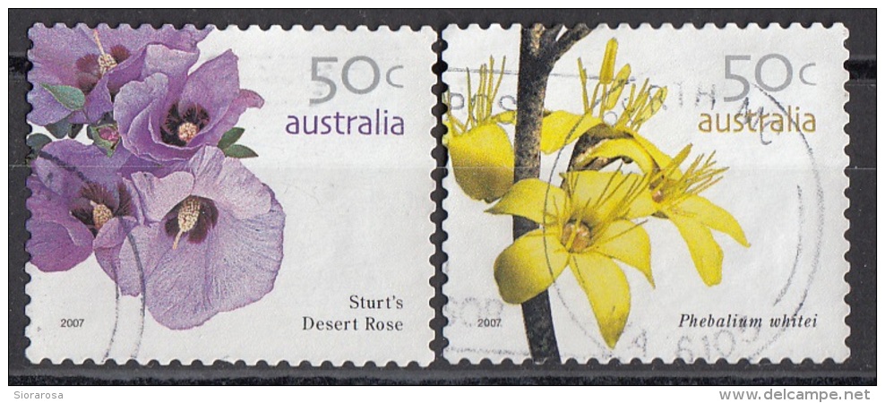 2615 Australia 2007 Fiori Flowers Di Sturt Desert Rose - Phebalium Whitei Perf. 14x14 E 1/2 - Vegetazione