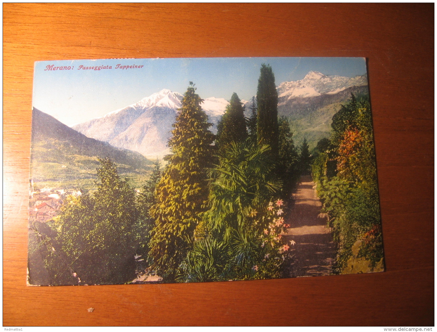 CARTOLINA FORMATO PICCOLO   -   MERANO  PASSEGGIATA TAPPEINER  -   B    1217 - Merano