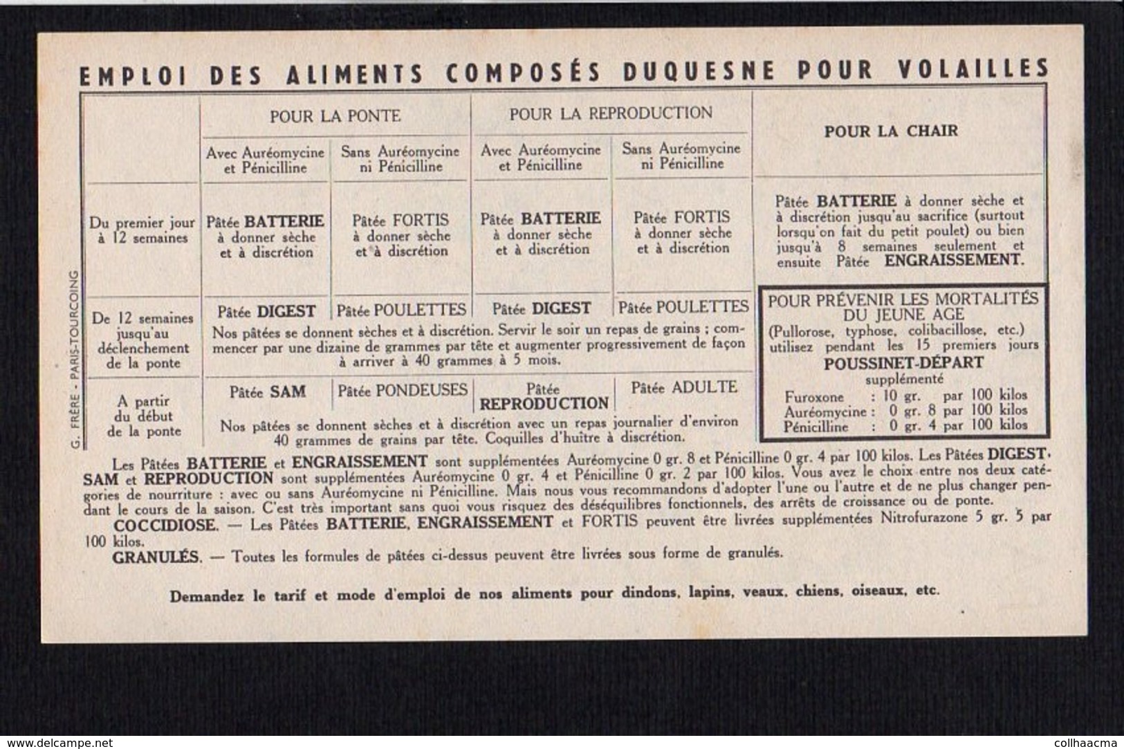 Publicité / Aliments Pour Animaux / N° 33  Patées "DUQUESNE " Montfort 27 / Dessin De Jean Louis Pesch - Advertising