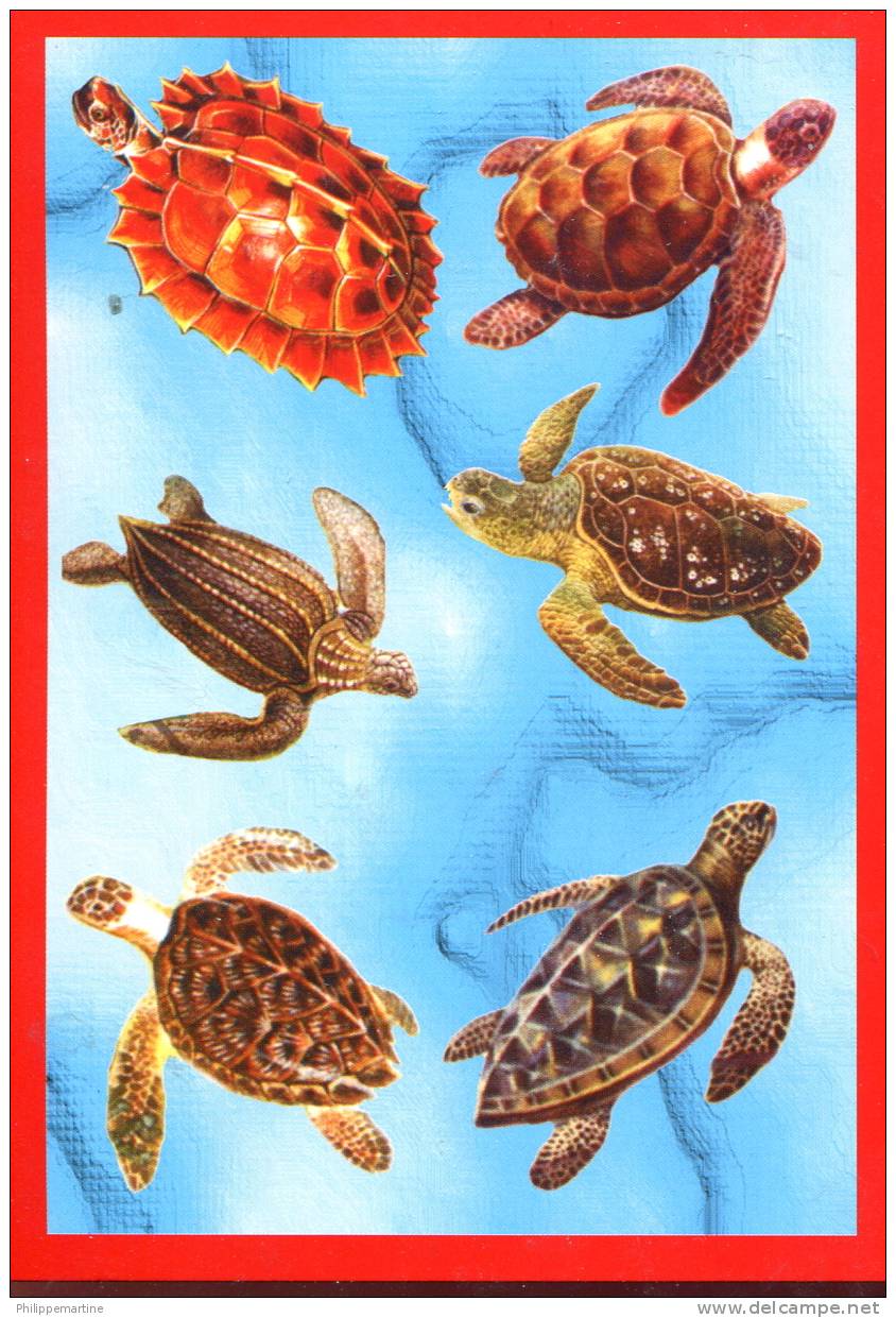 Tortues : Multi Vues - Turtles