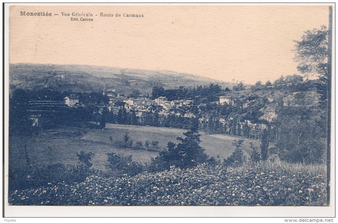 L55A319 - Monestiés  -  Vue Générale , Route De Carmaux  - Ed. Cassan - Monesties