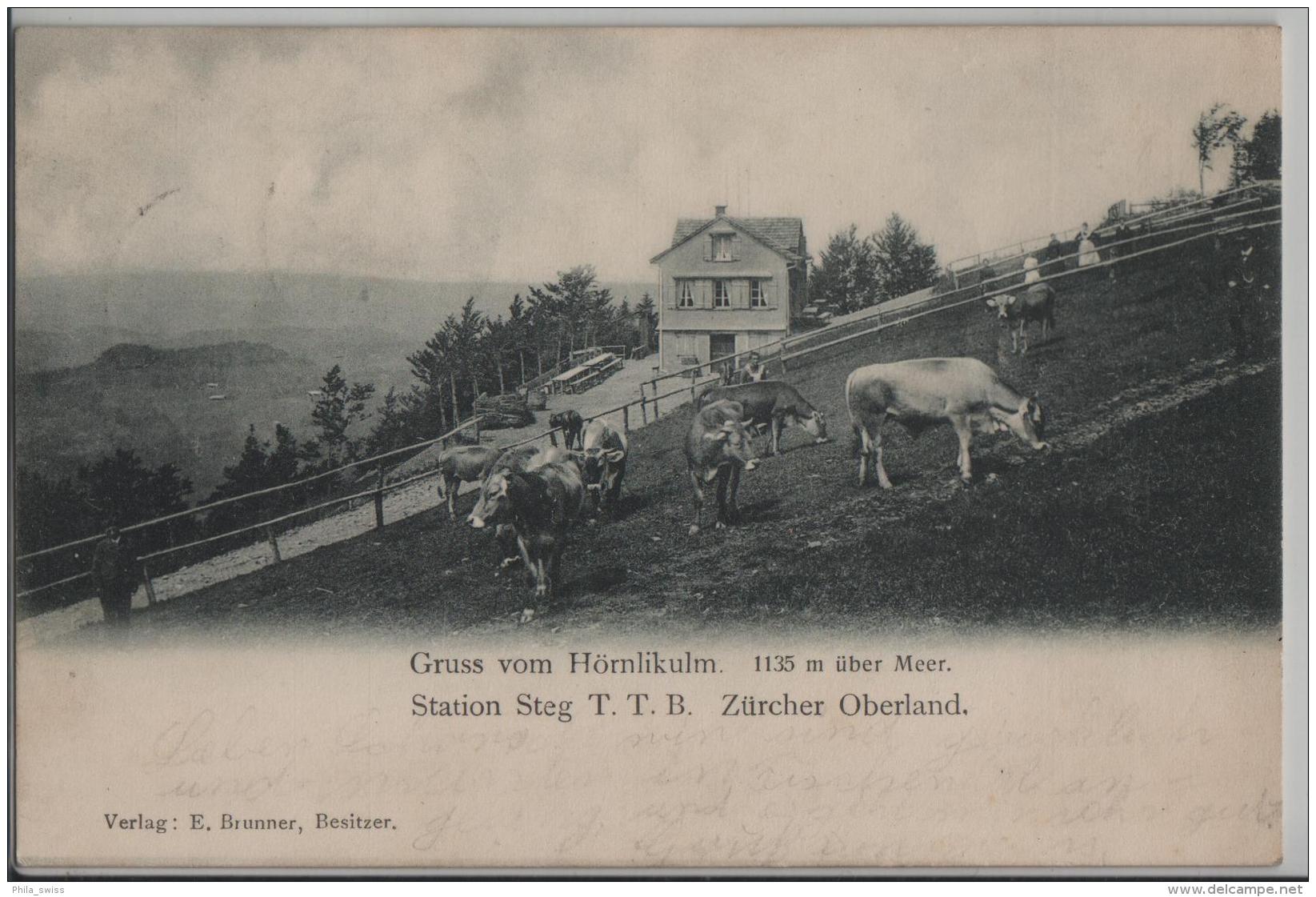 Gruss Vom Hörnli (1135 M) Zürcher Oberland (ab Station Steg T.T.B.) Animee Kühe Vaches - Photo: E. Brunner - Autres & Non Classés